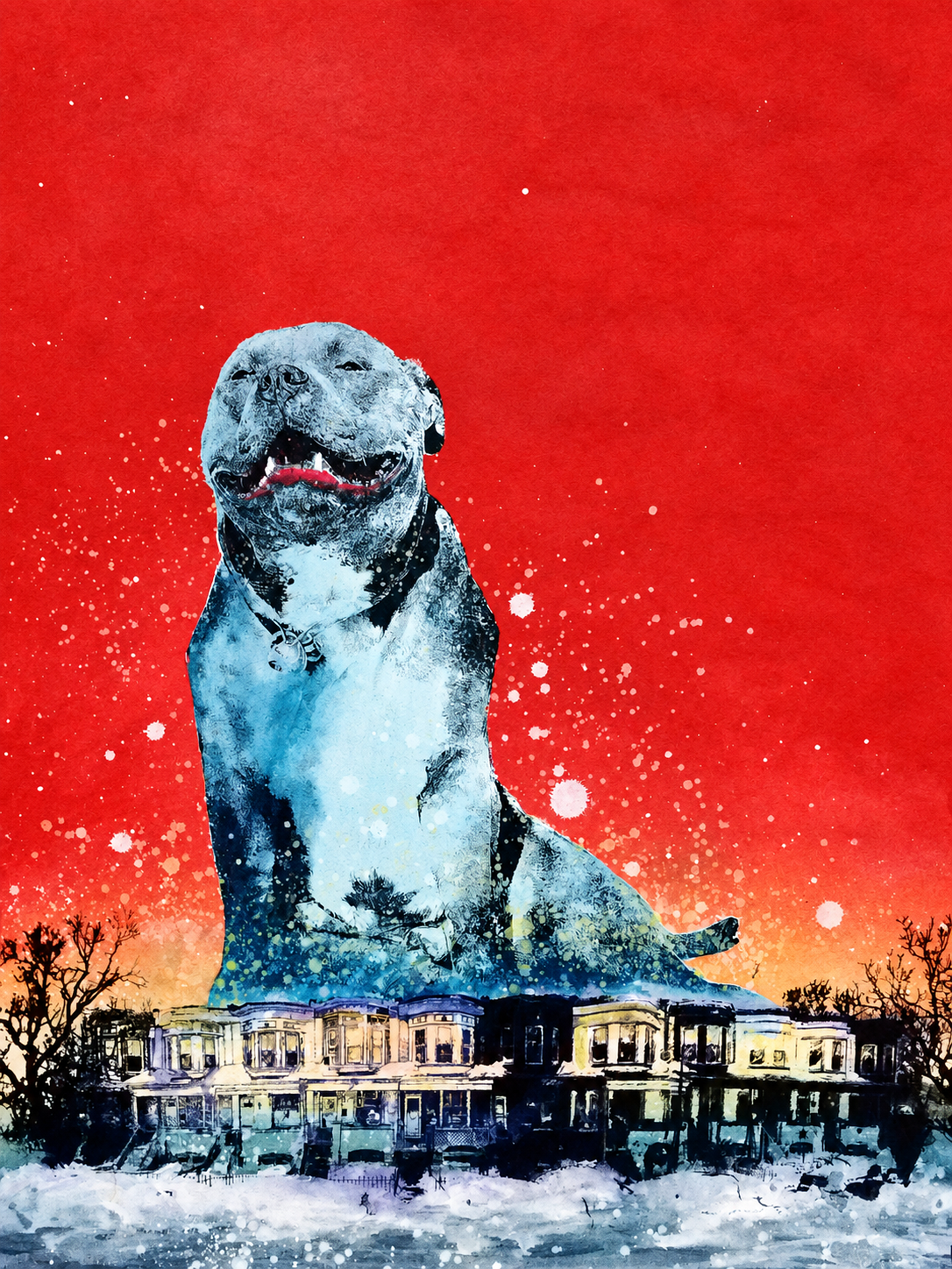 pitty on red.png