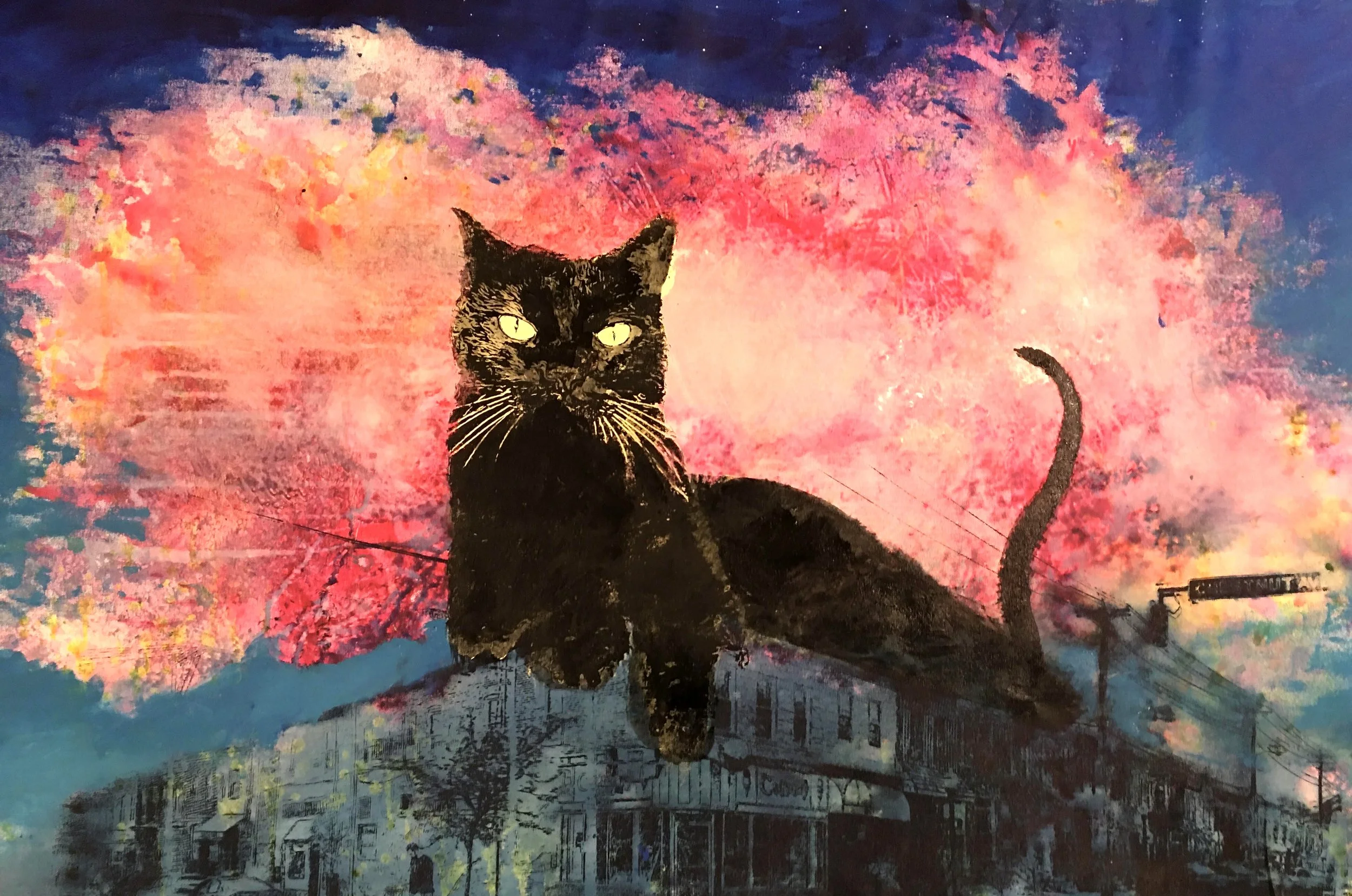 relax black cat.jpg