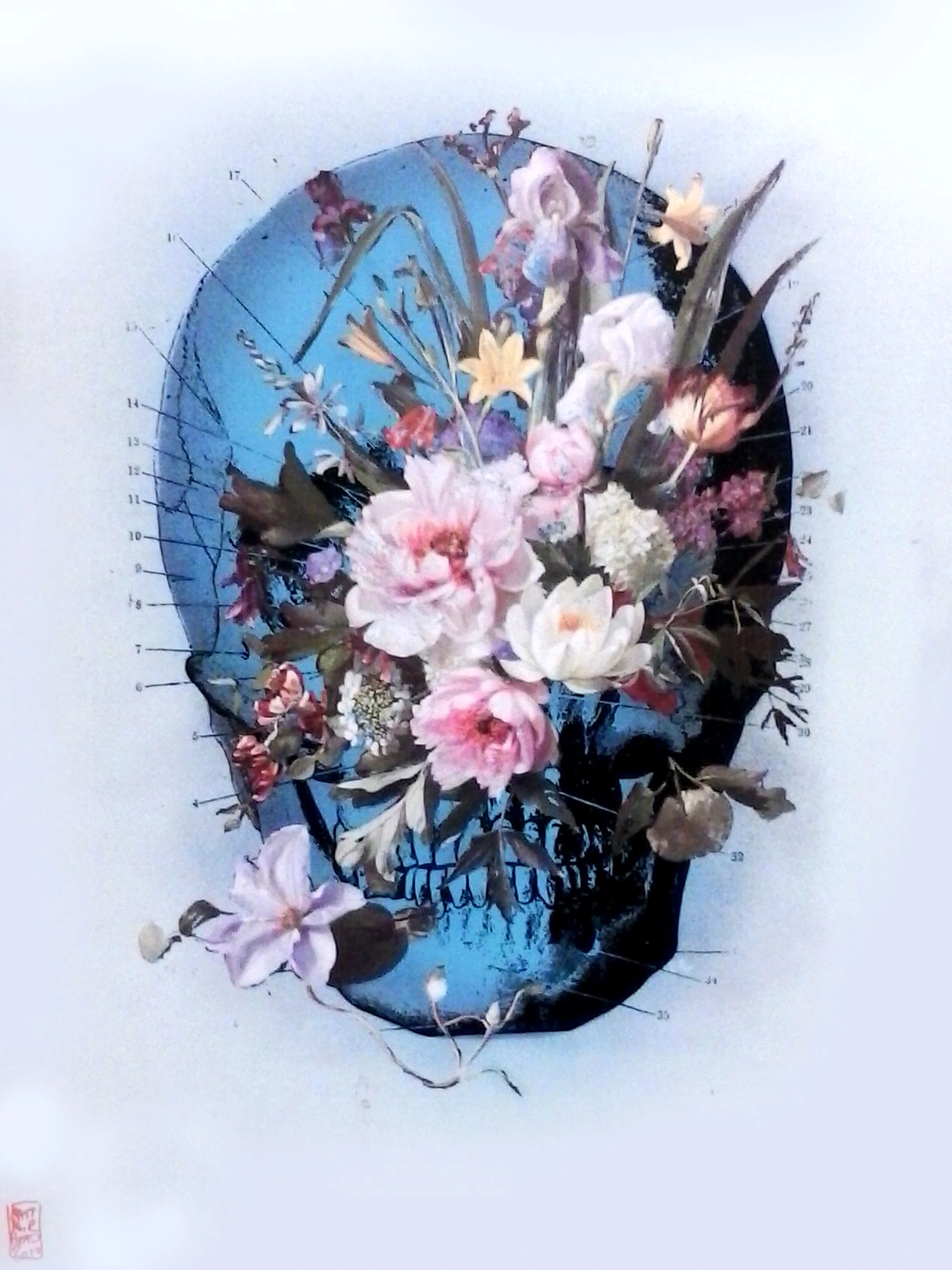 blue skull flowers.jpg