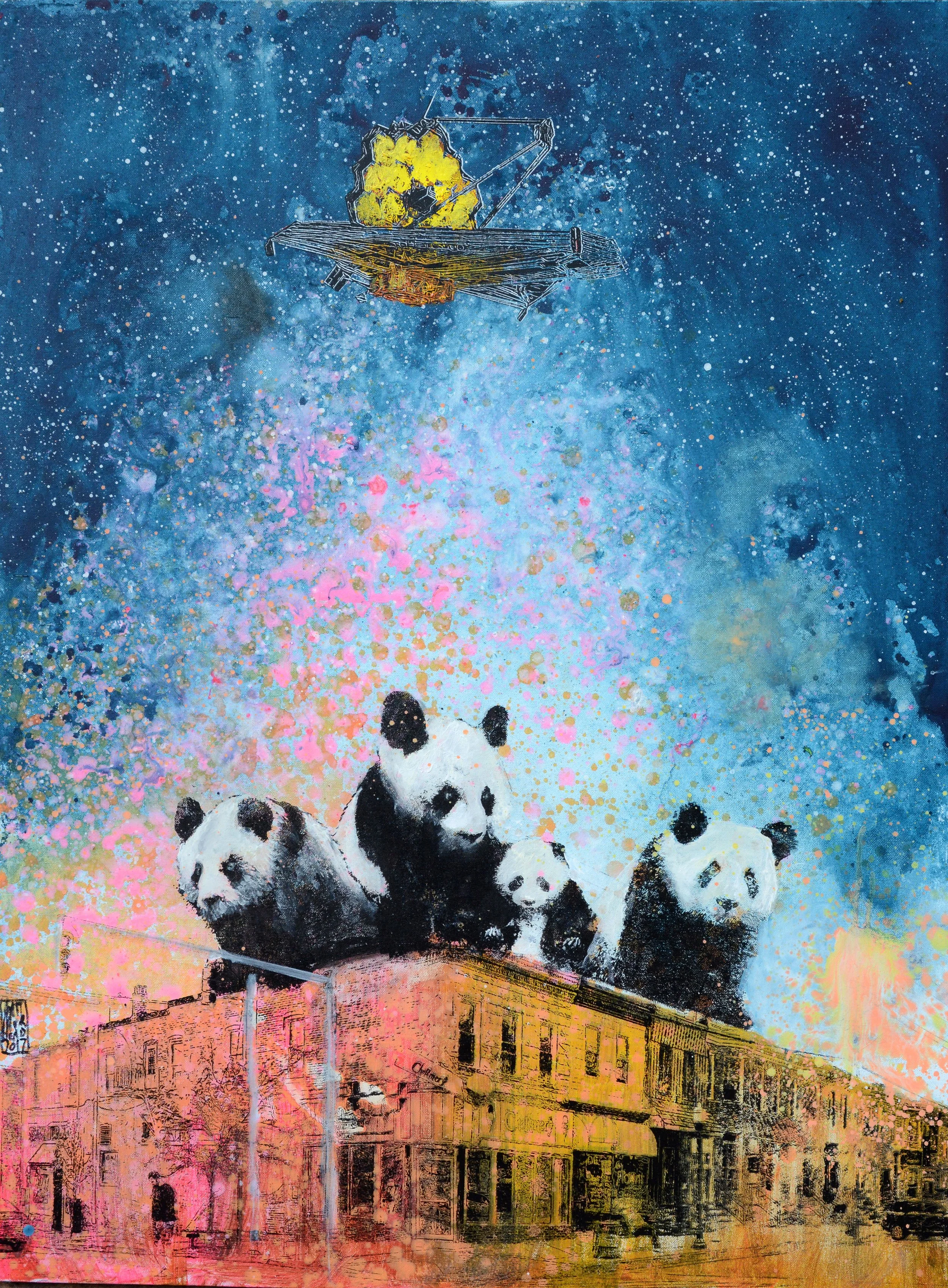 webb panda.jpg
