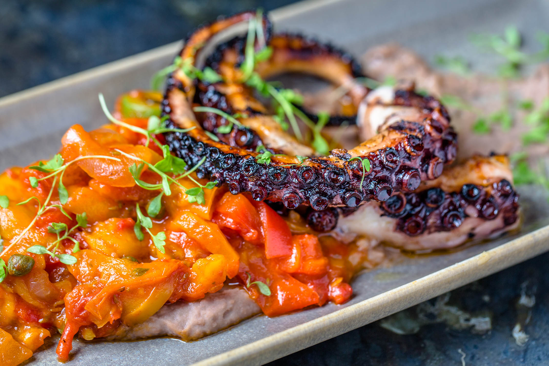 Allora-Grilled-Octopus-Atlantic-Station-Erik-Meadows