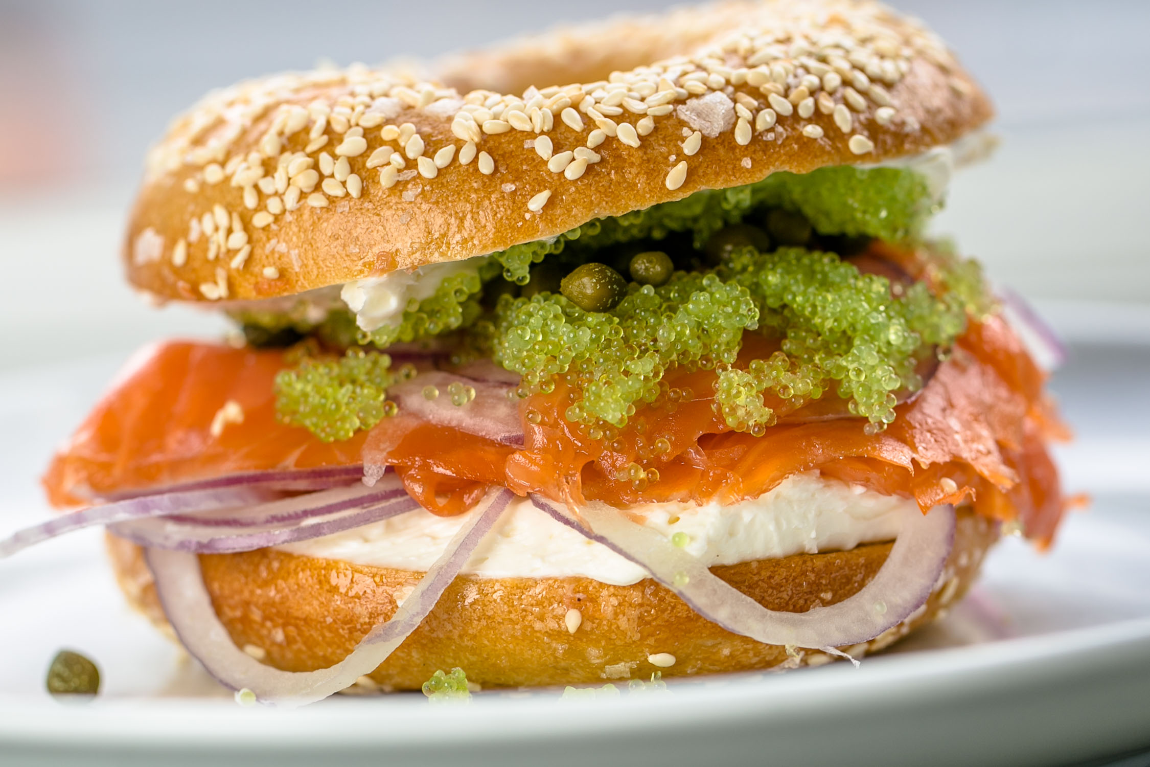 8Arm-Bagel-with-Lox-Erik-Meadows