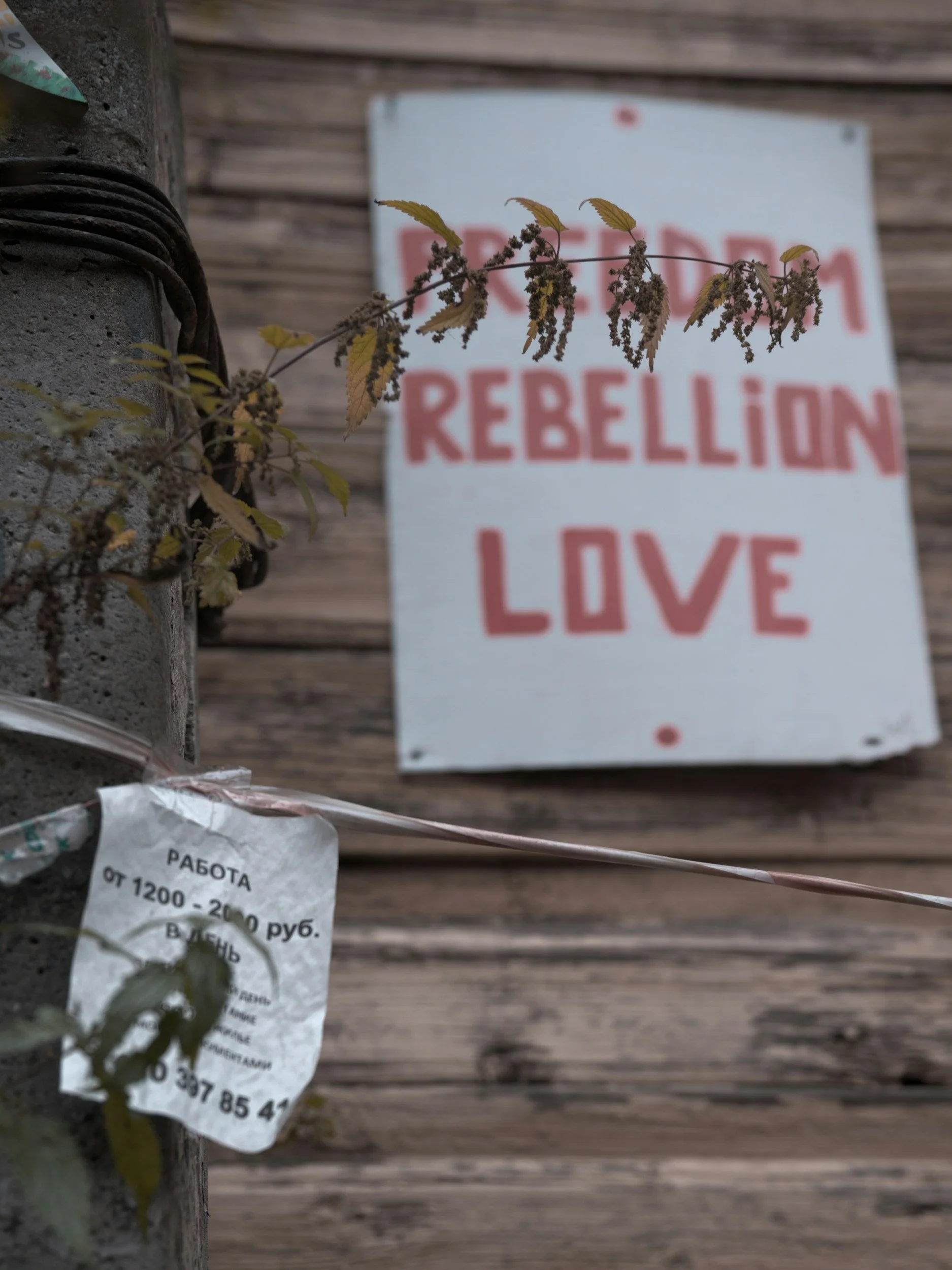 Welcome to Aquarius season