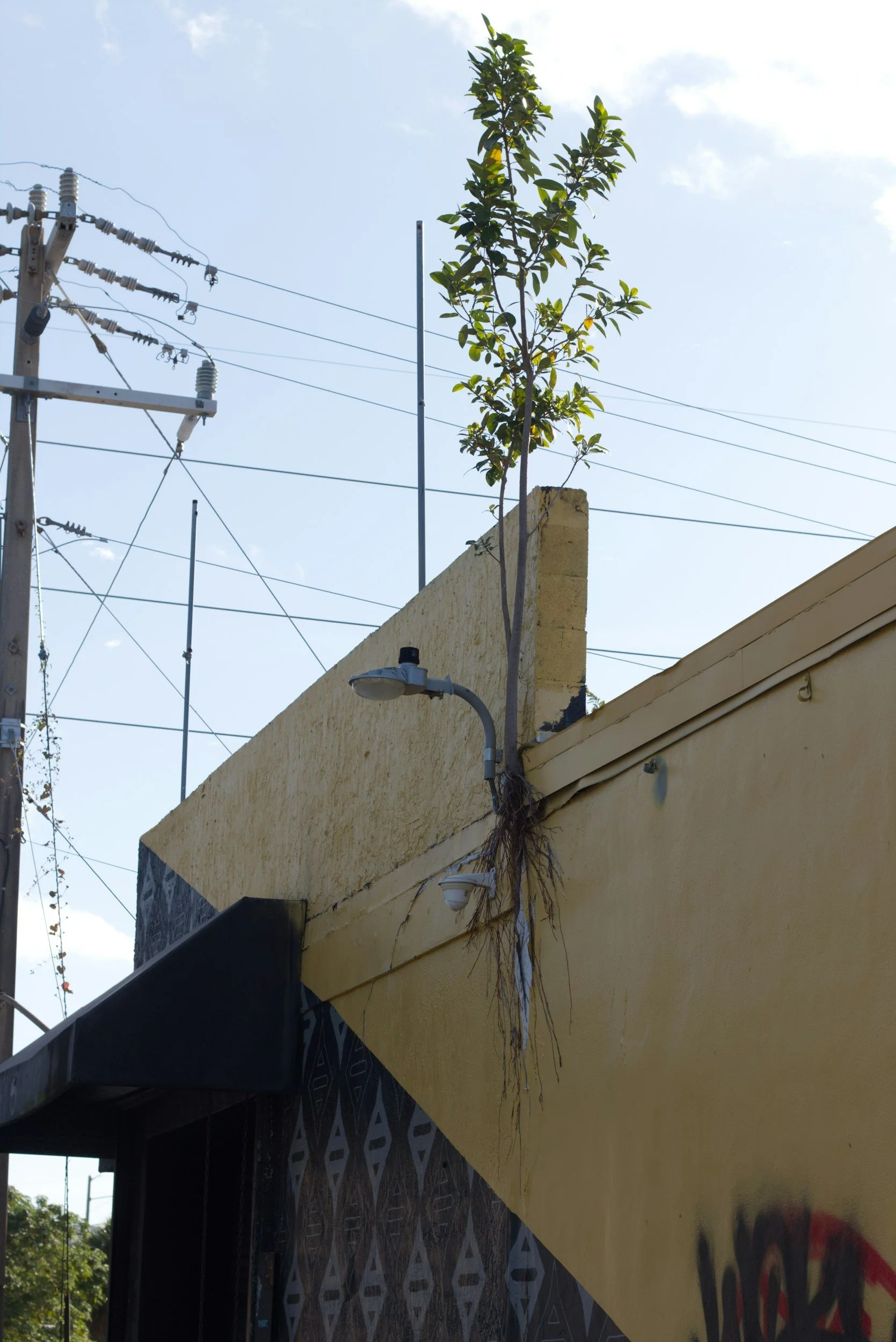 Welcome to Taurus season