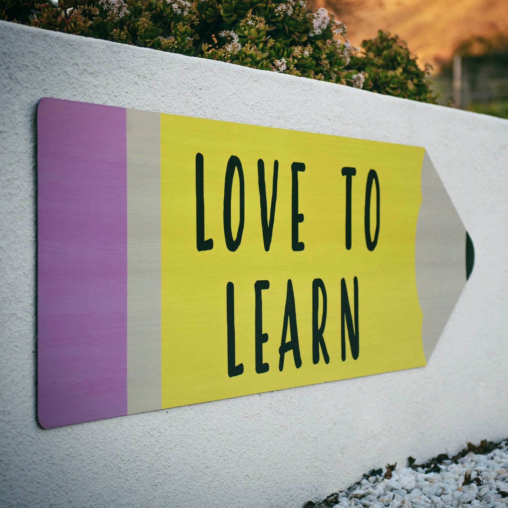 Love+to+learn+tim-mossholder-1265371-unsplash.jpg