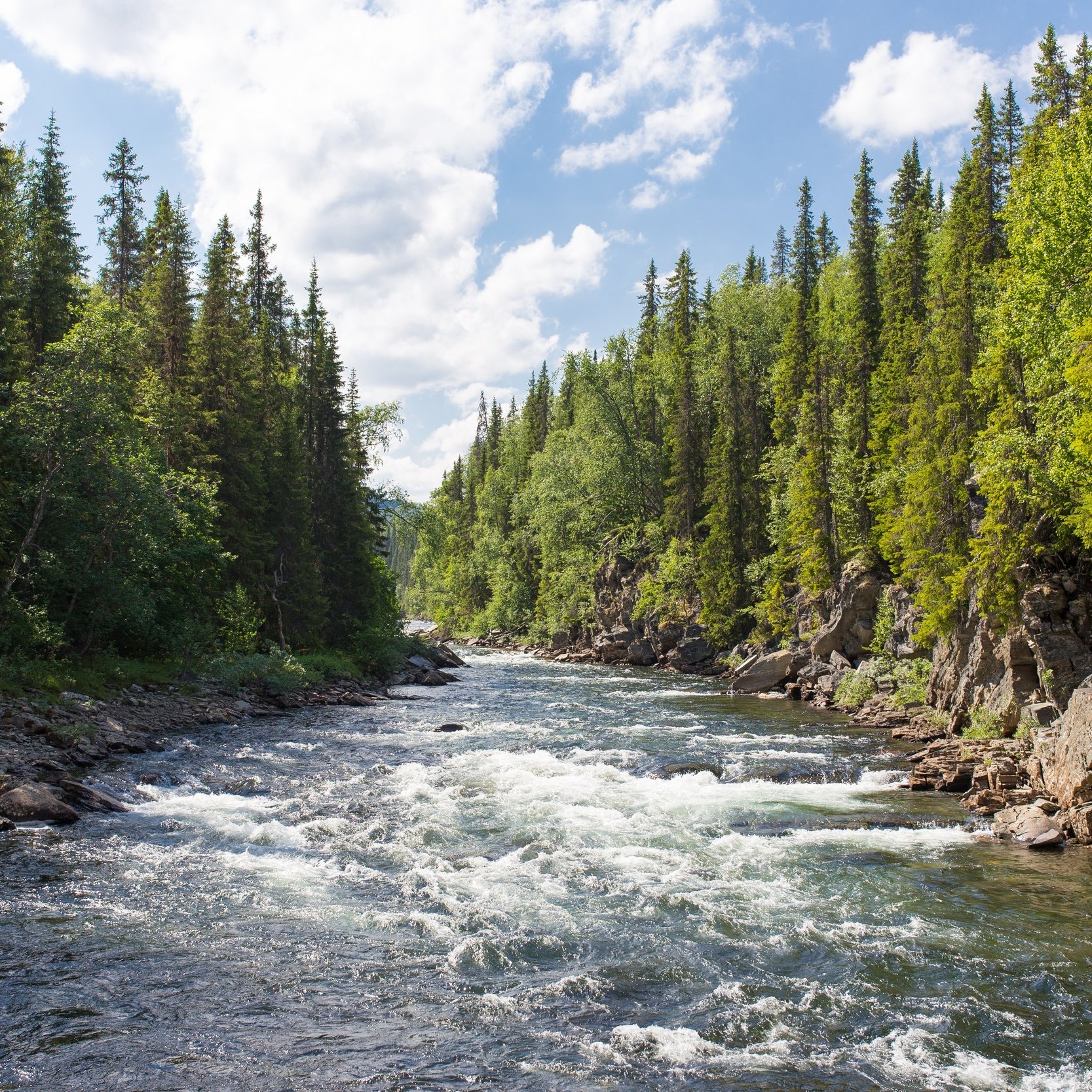 River+of+Life.jpg