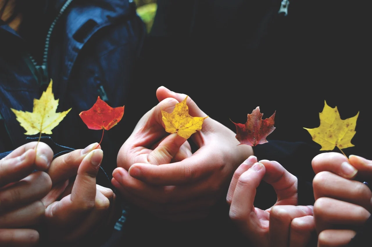 providence-doucet-87304-unsplash.jpeg