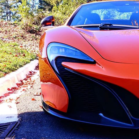 best so far exotic.jpg