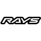 Rays.jpg