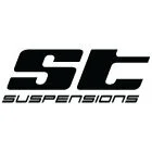 st suspension.jpg