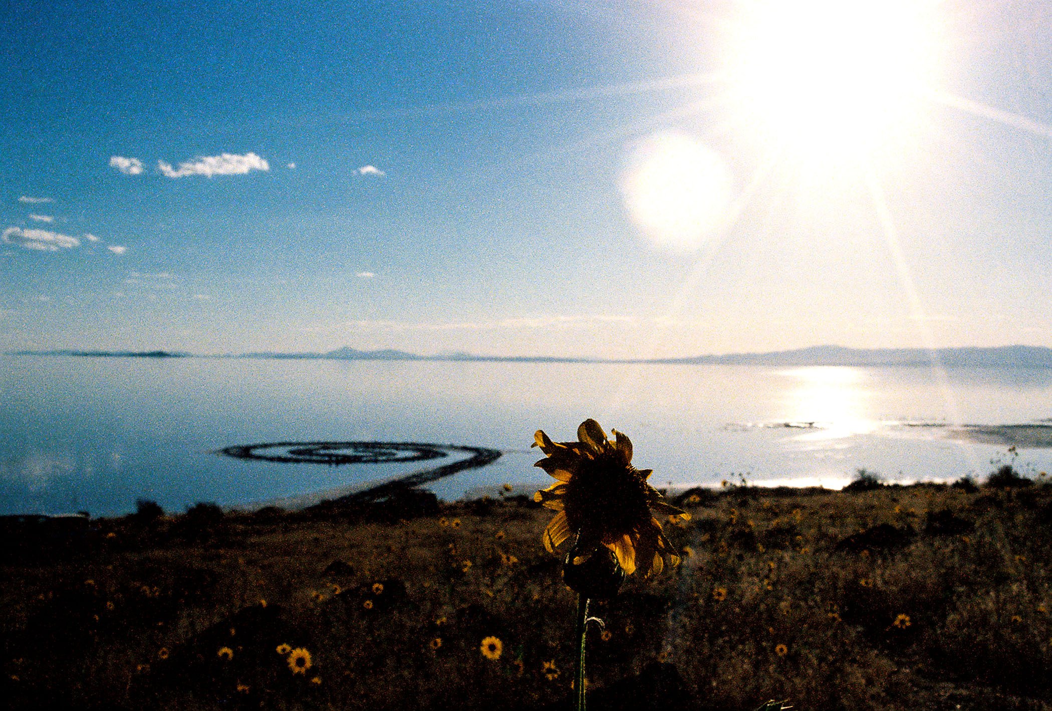 Sunflower jetty.jpg