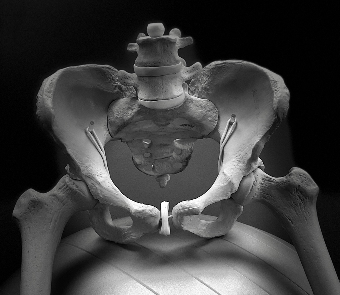 Pelvic Girdle Pain — The Physical Therapy Place