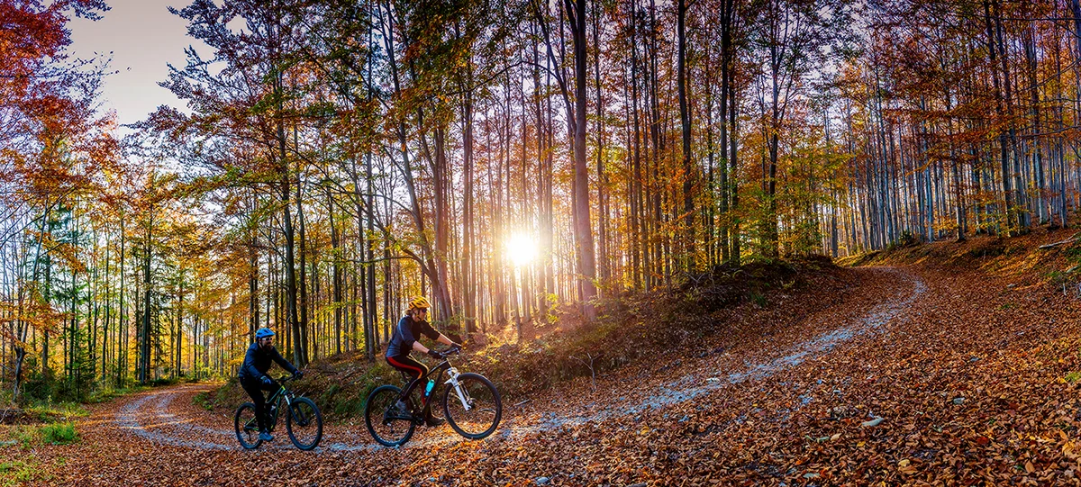 shutterstock_1203224140_small.jpg