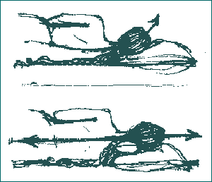 neck roll support drawing.gif