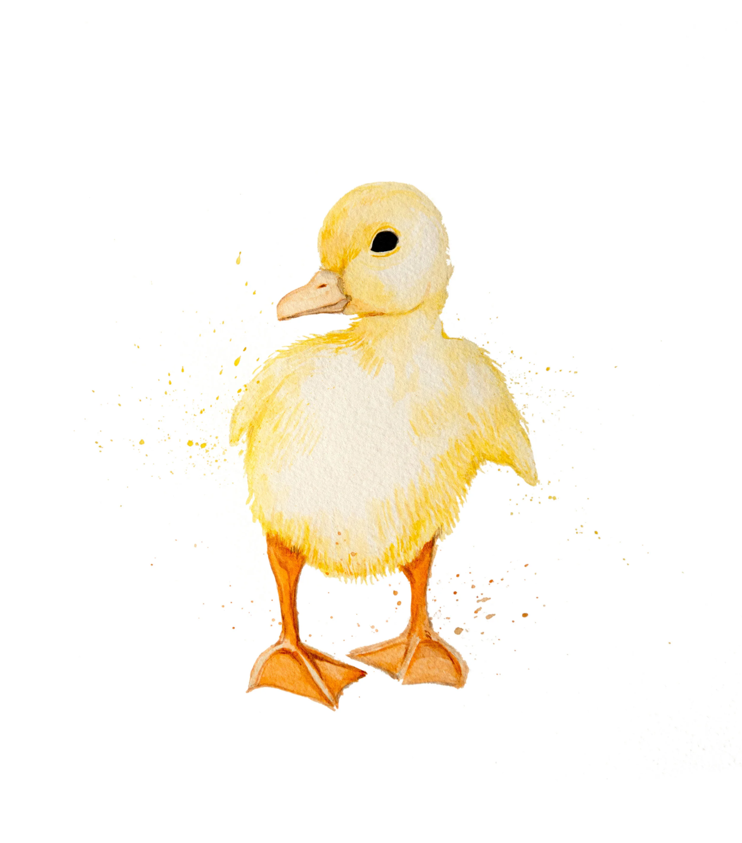 Baby Duck
