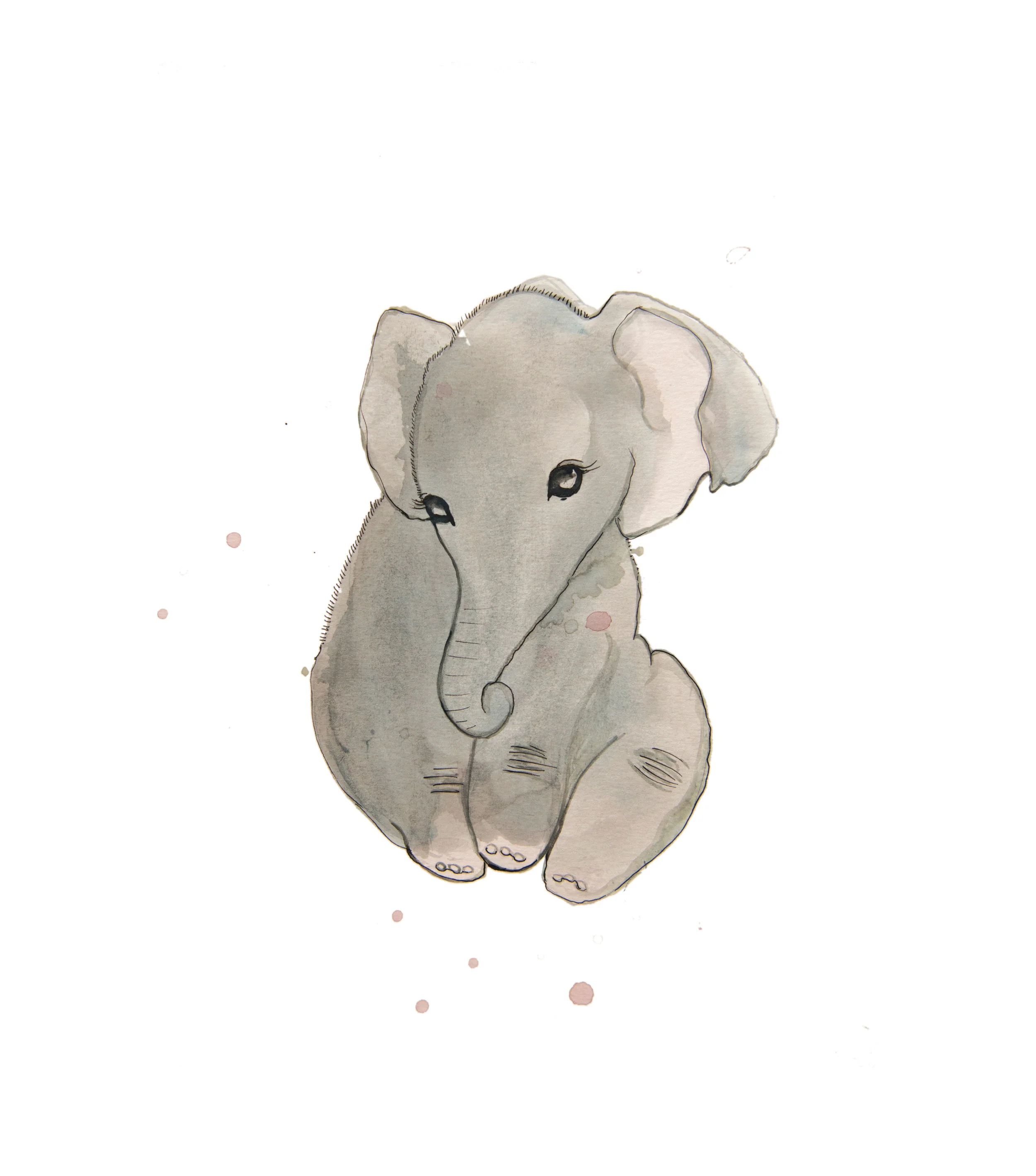 Baby Elephant