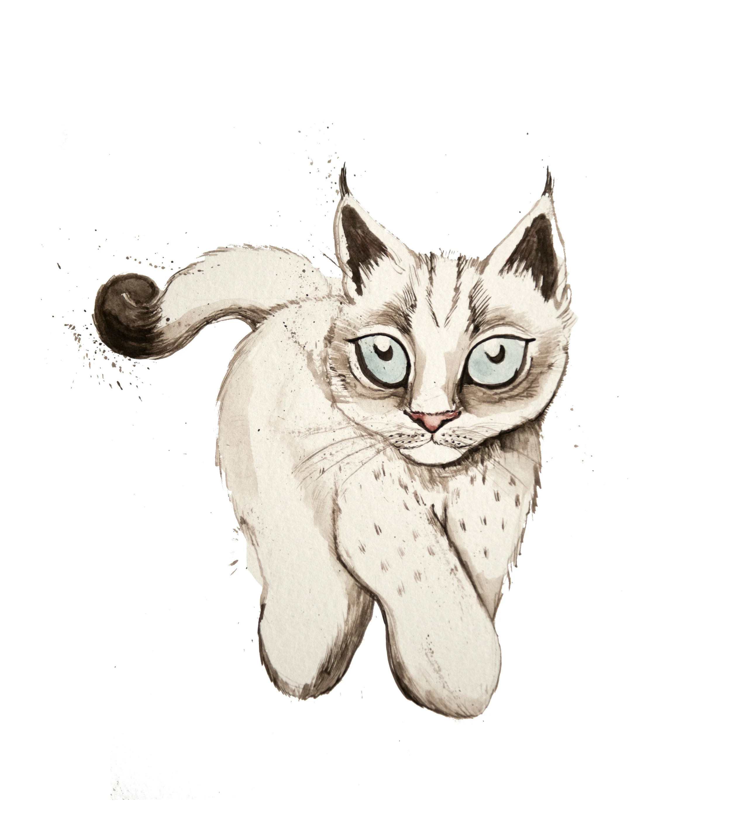 Baby Lynx