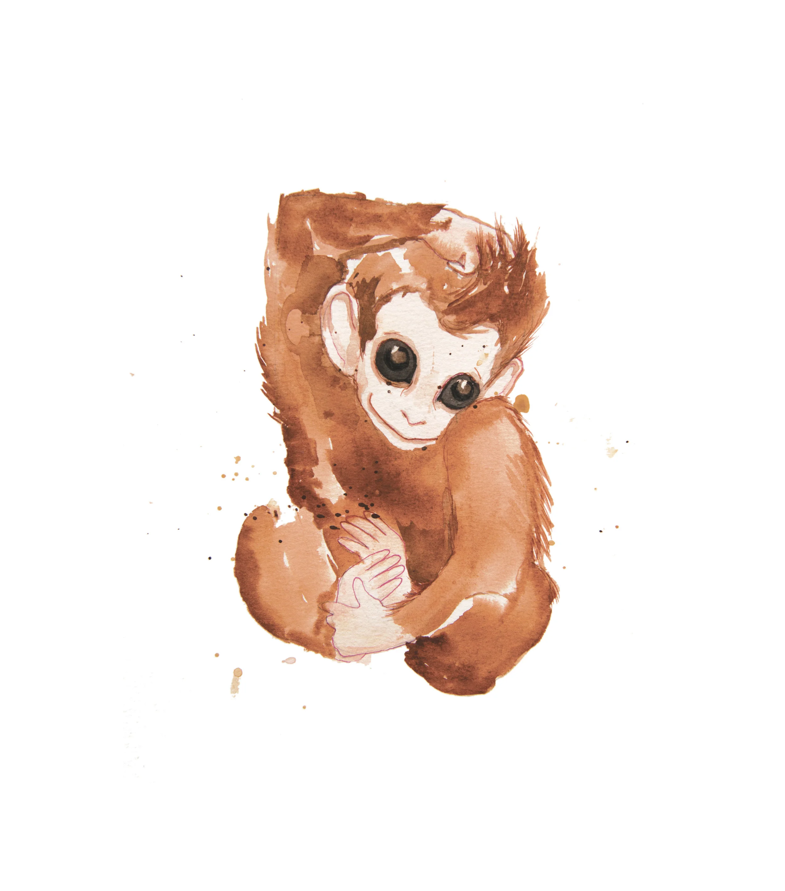 Baby Monkey