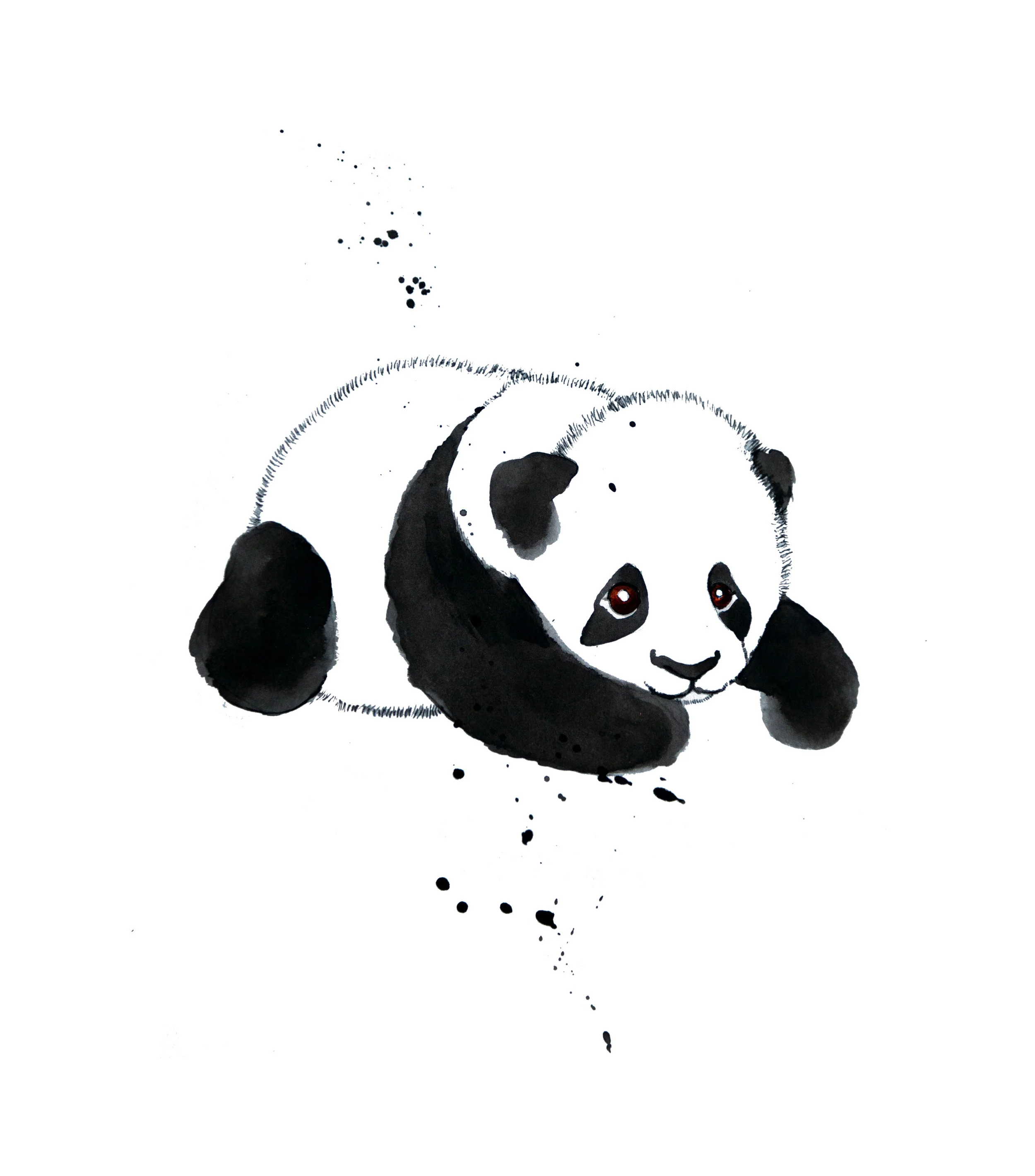 panda.jpg