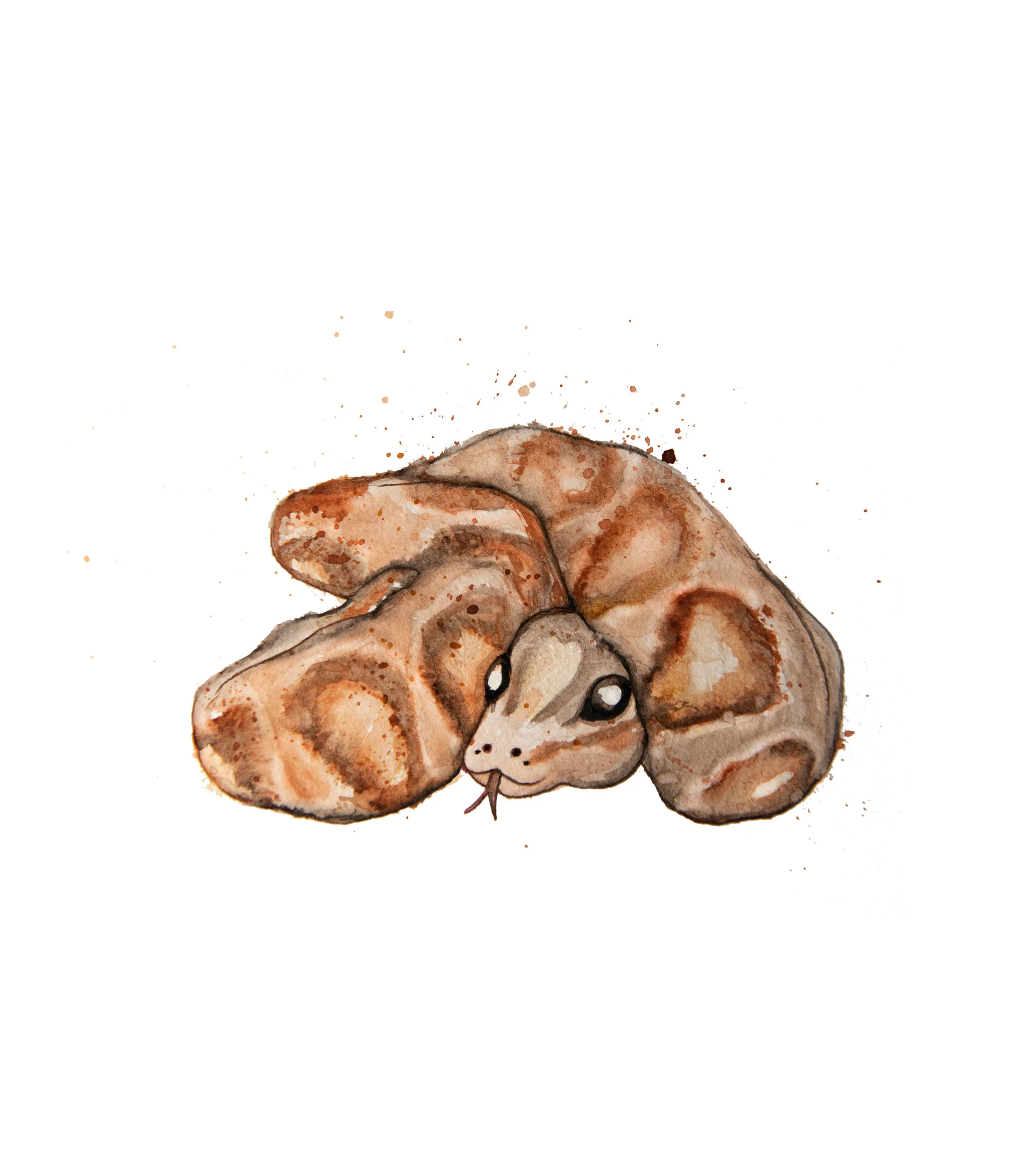 Baby Snake