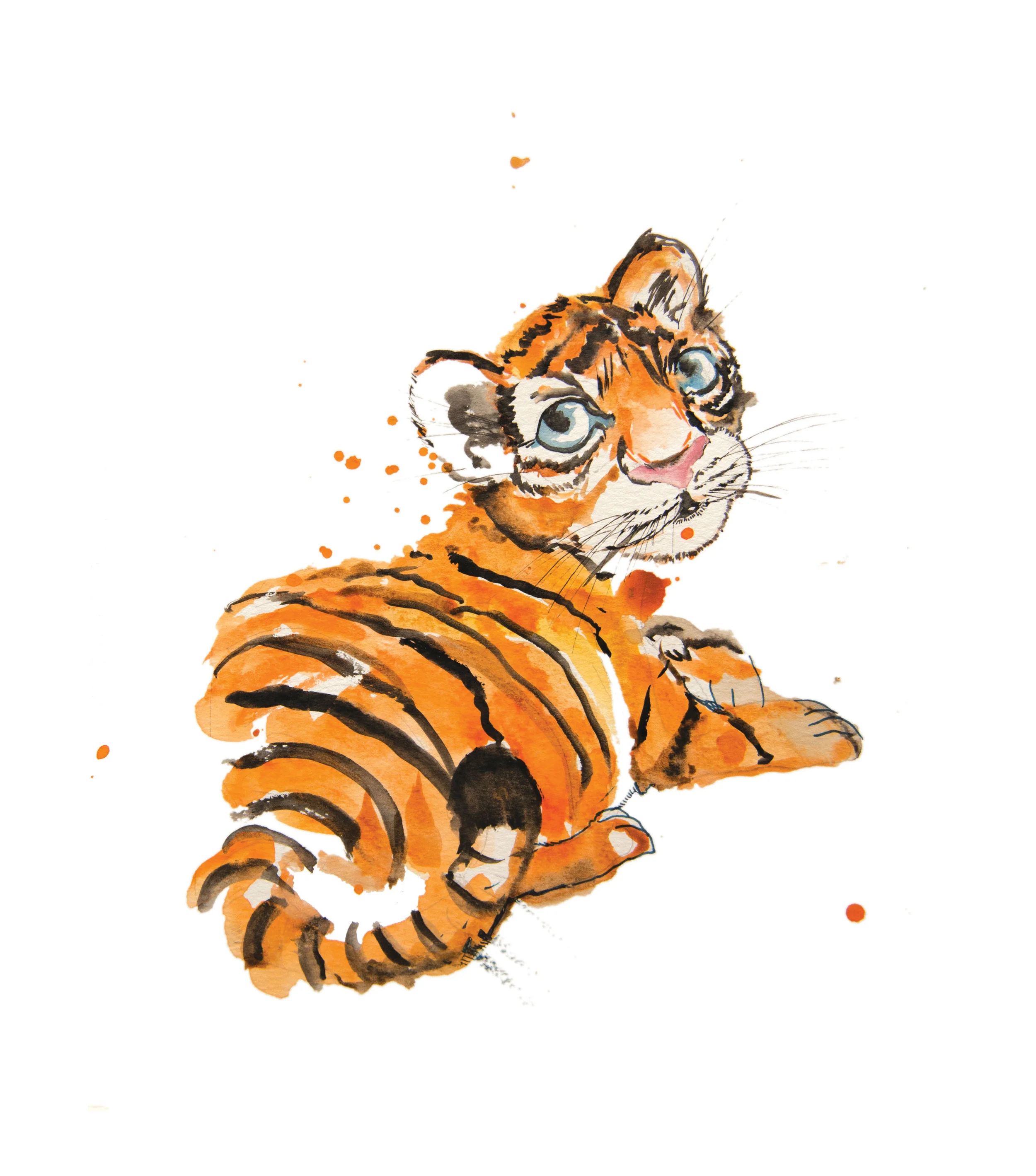 Baby Tiger