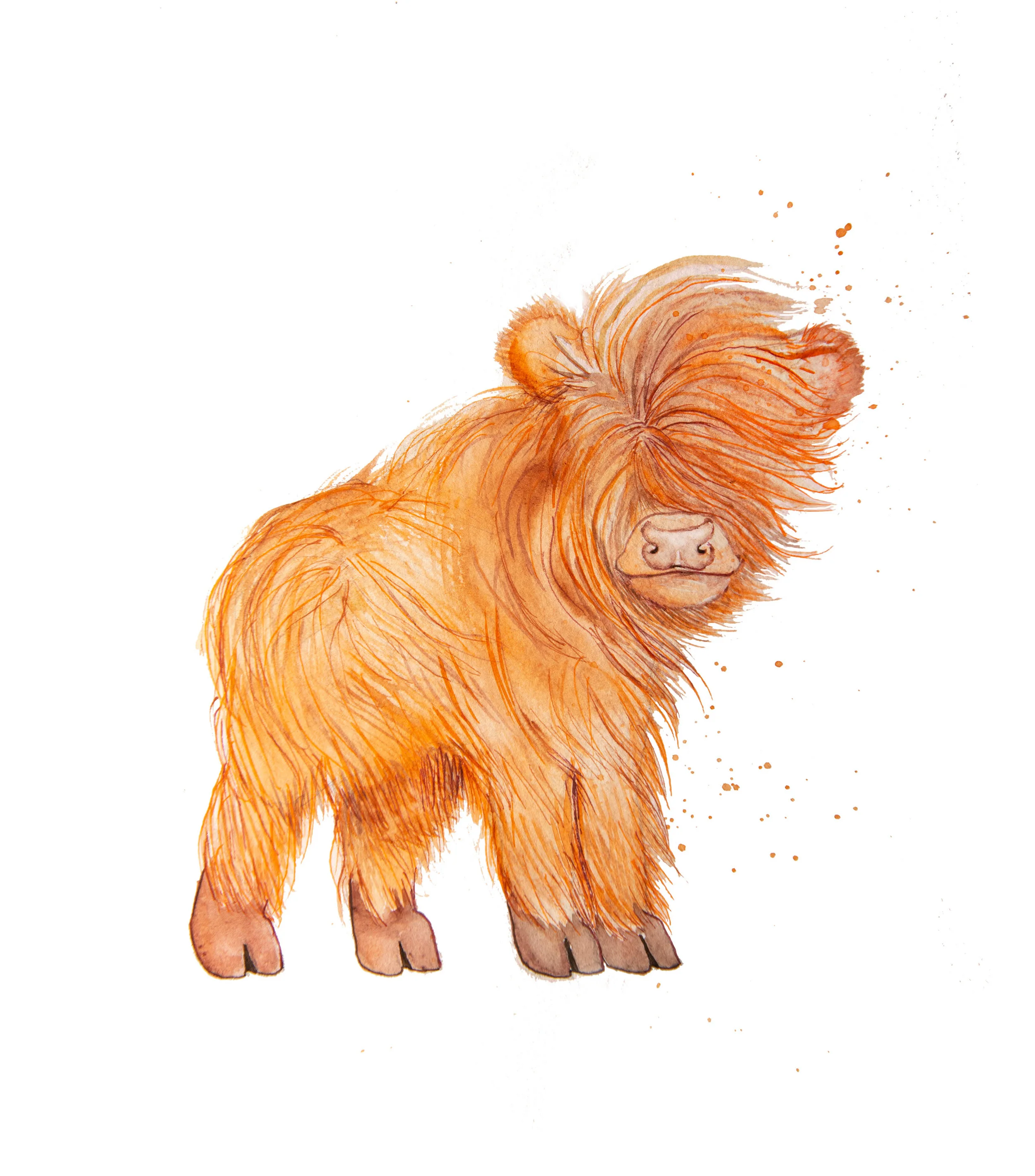 Baby Yak