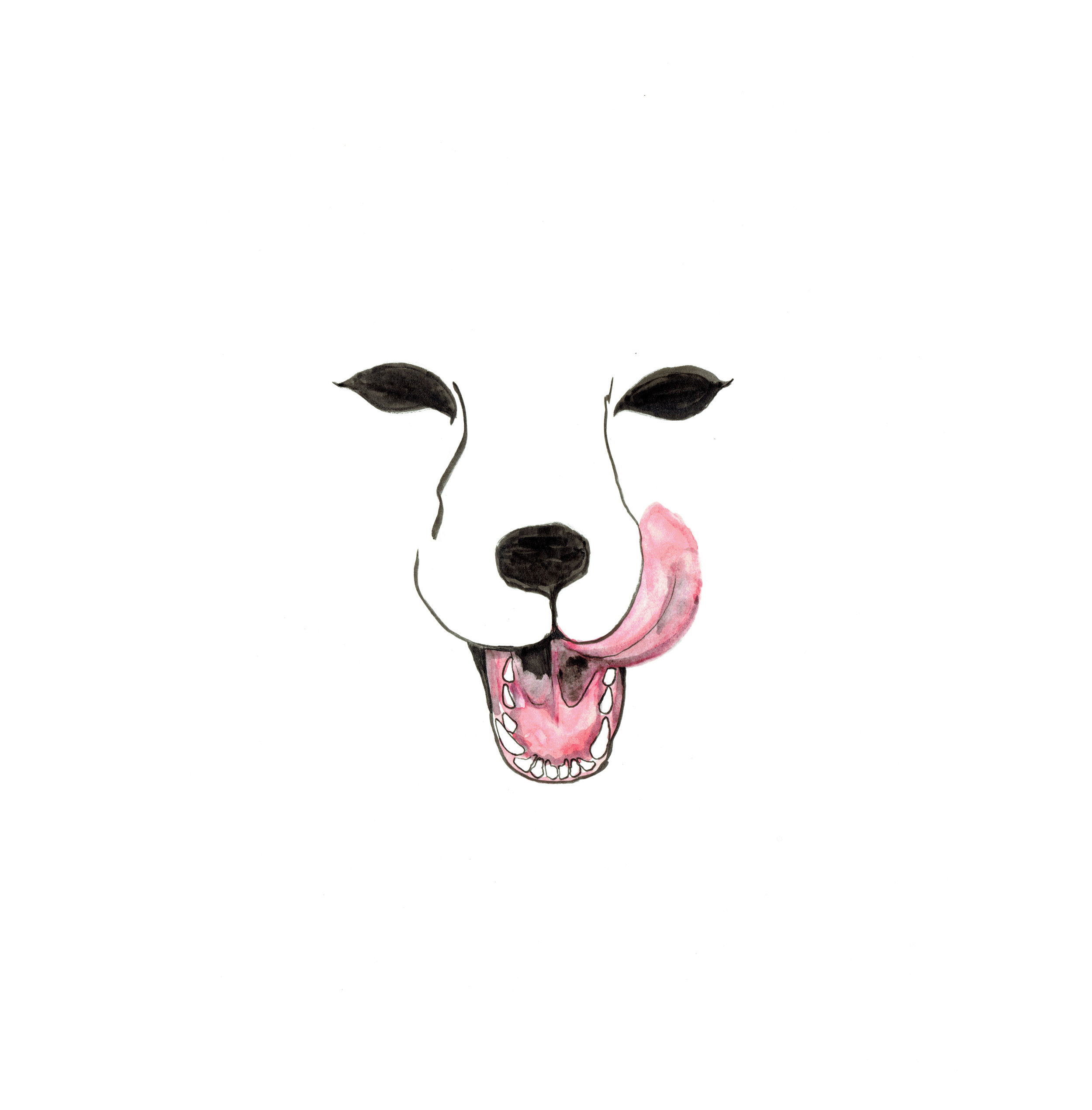 whitefoxWEB.jpg