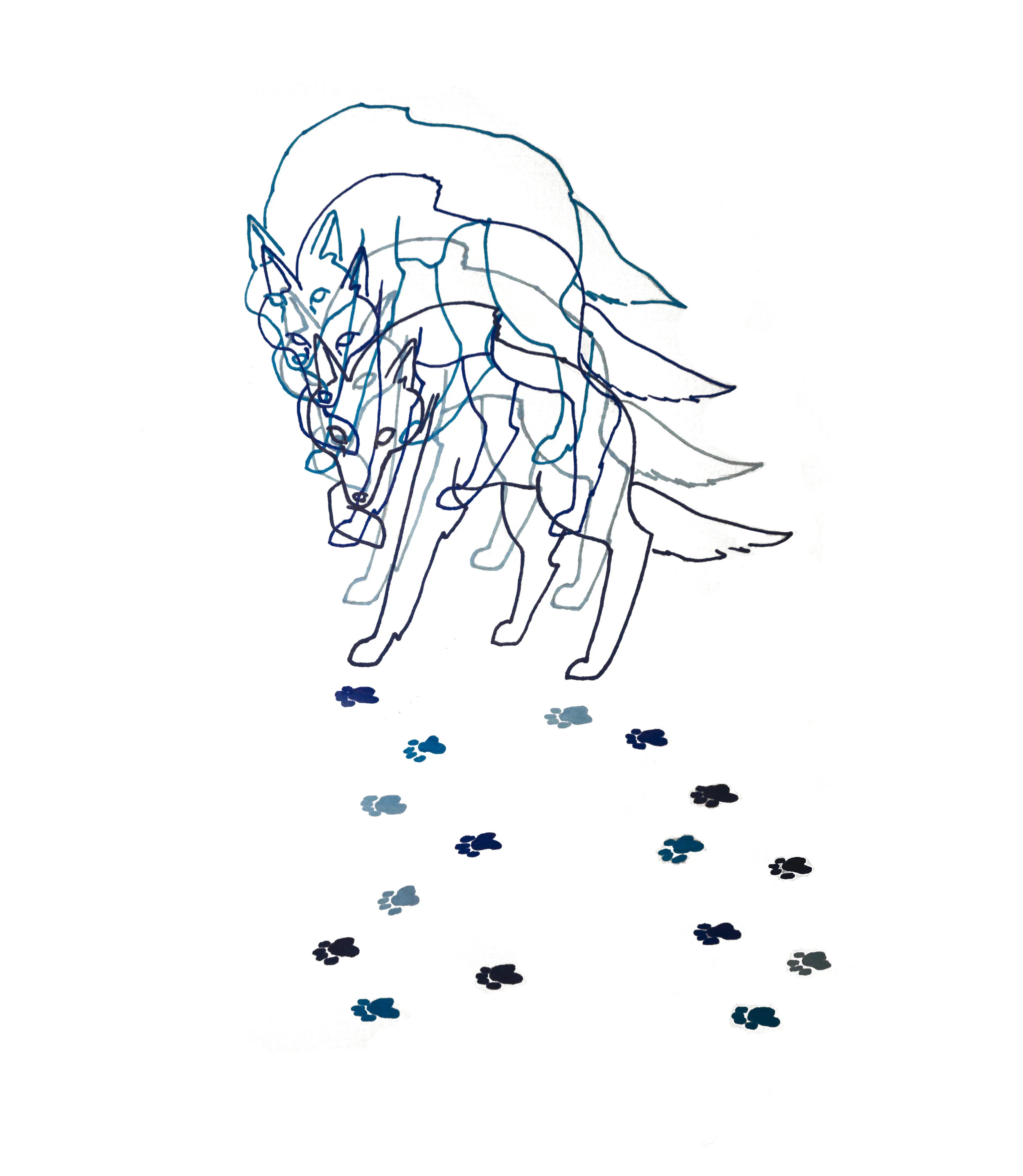 wolffeetcircle.jpg