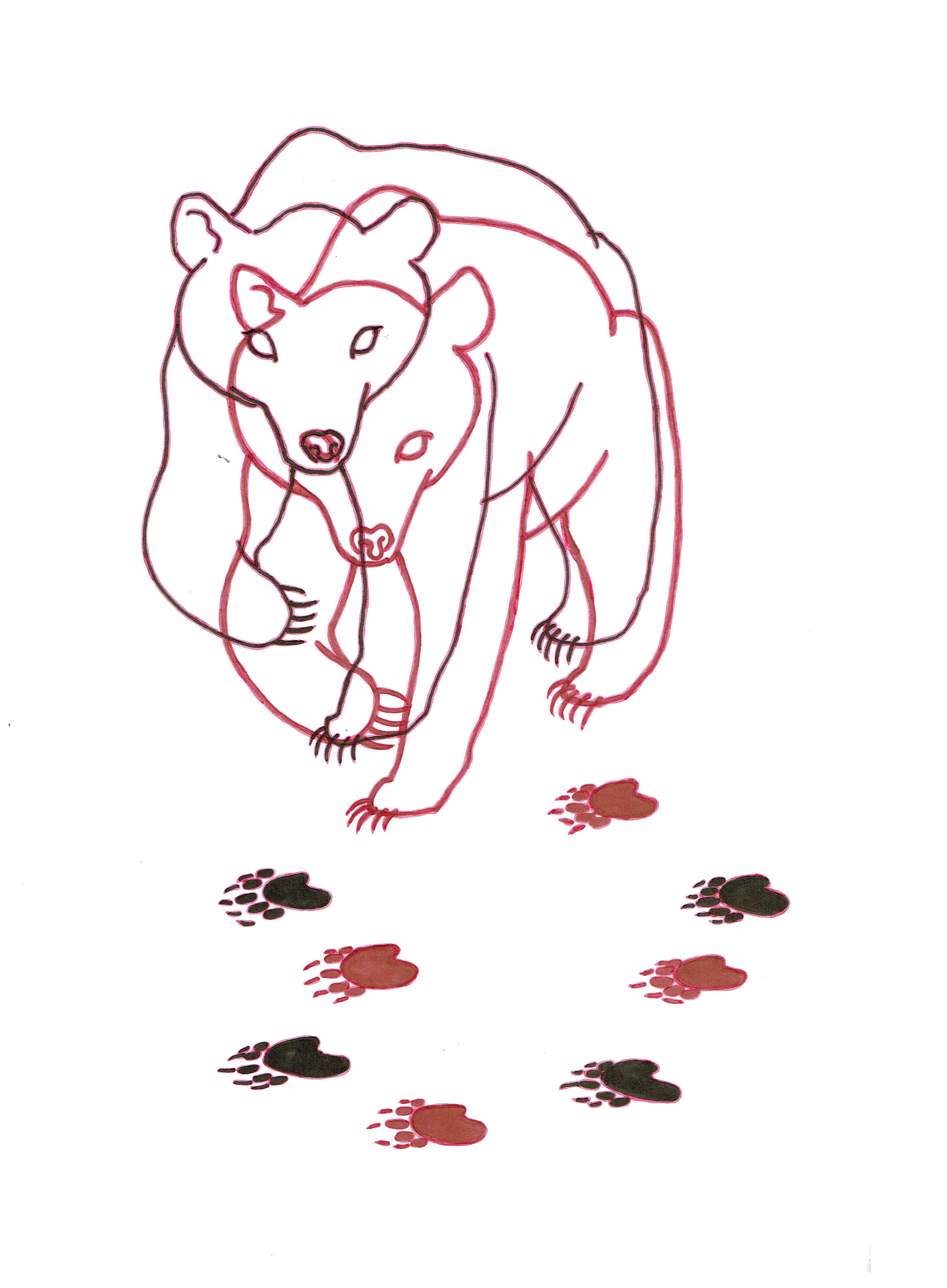 bears.jpg
