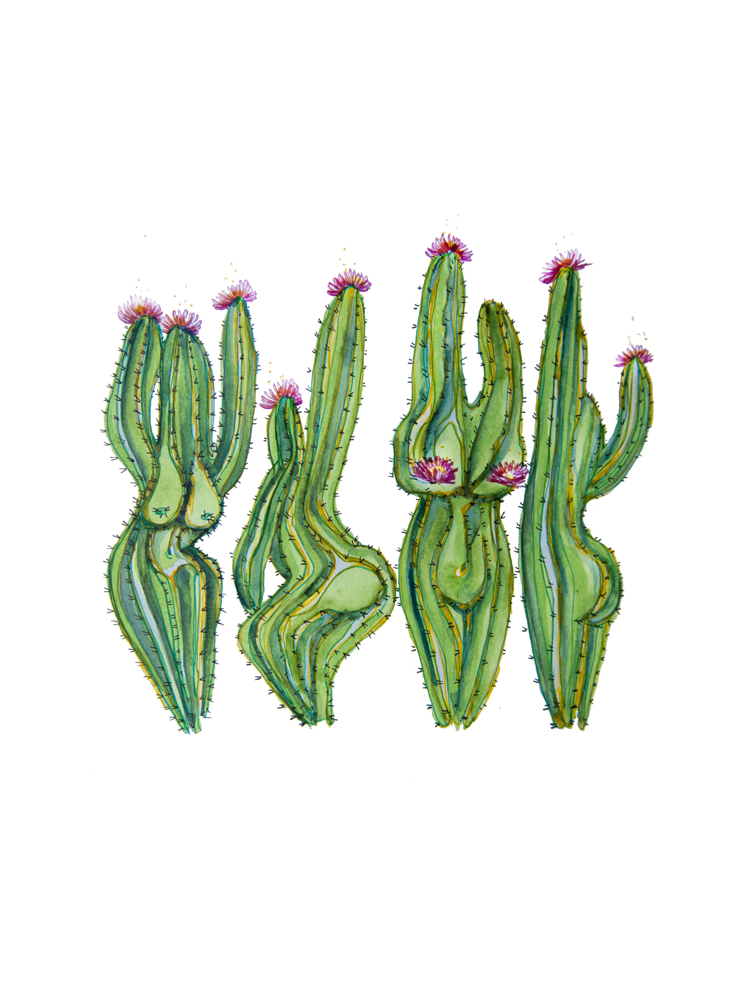 sexy cacti.jpg