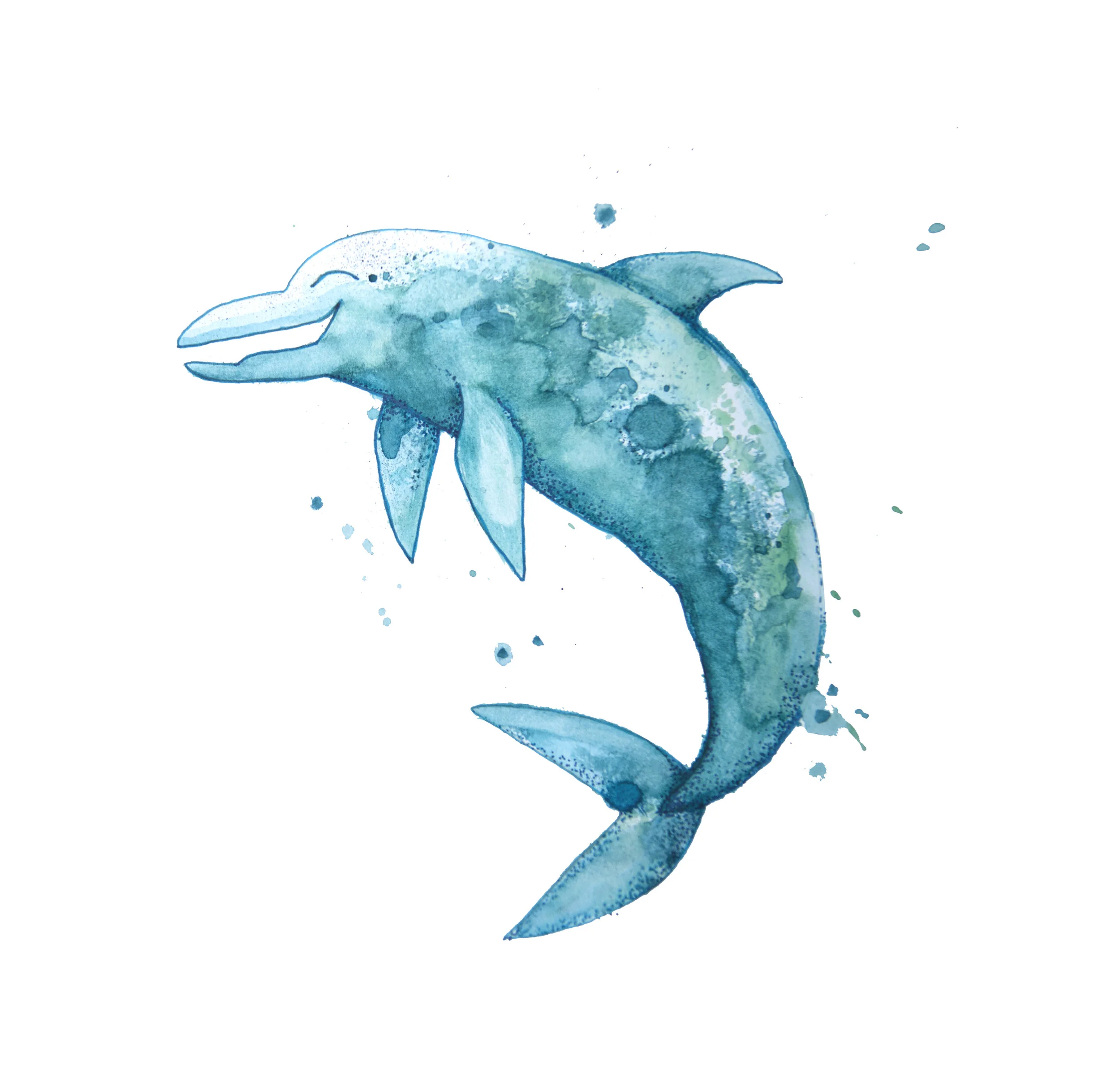 Baby Dolphin