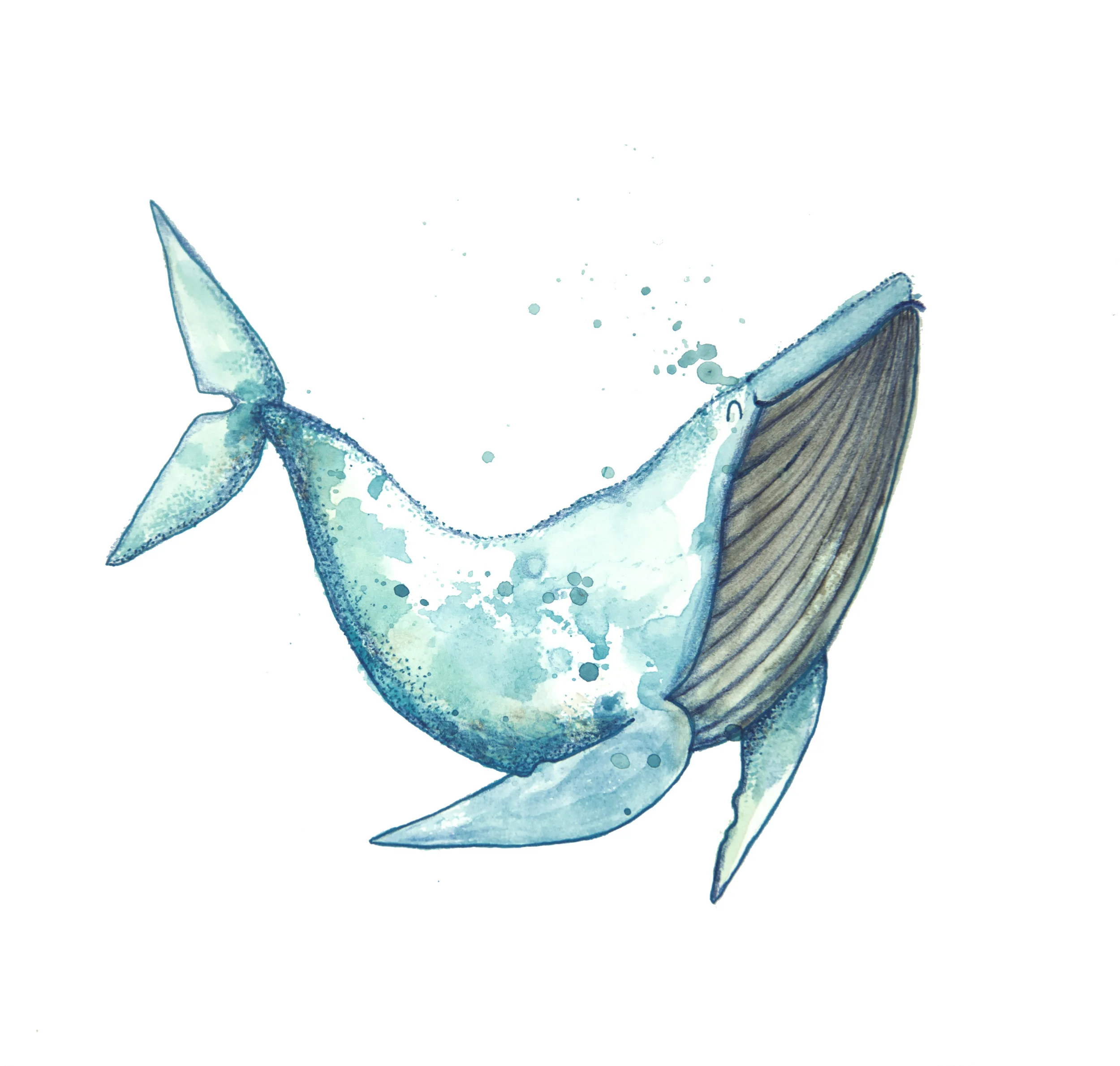 whale.jpg