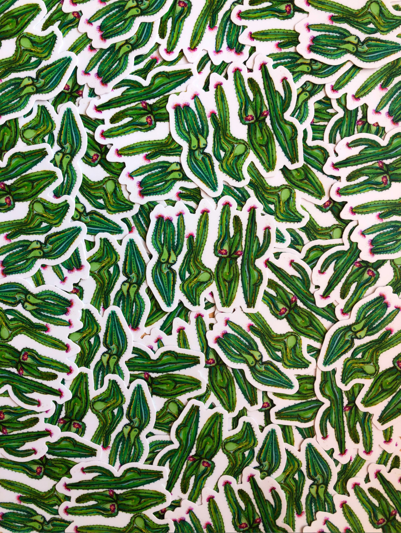 Cactus Ladies Sticker: Original 