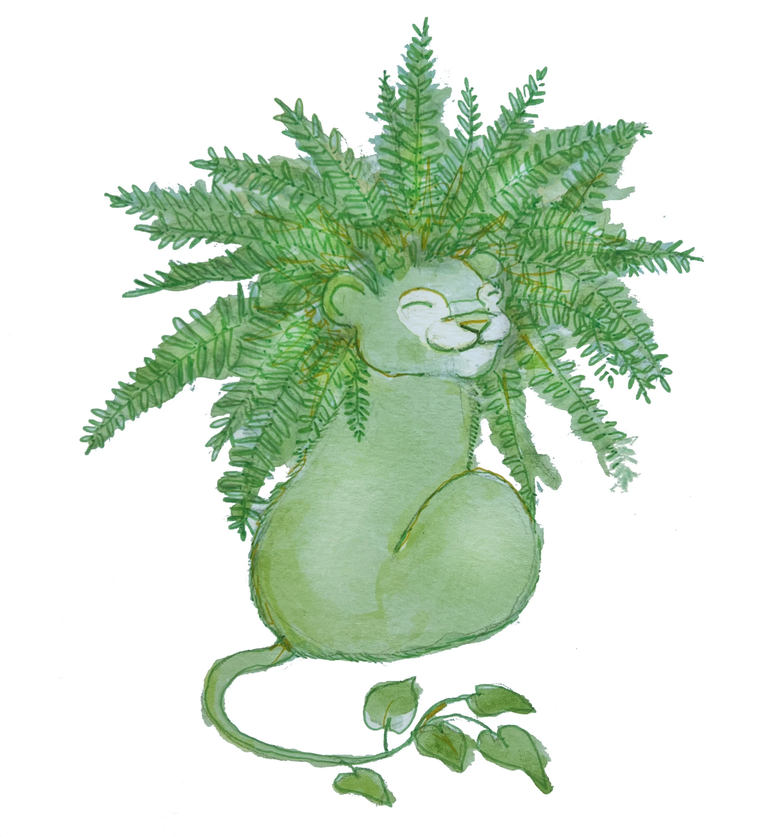 Fern Cub