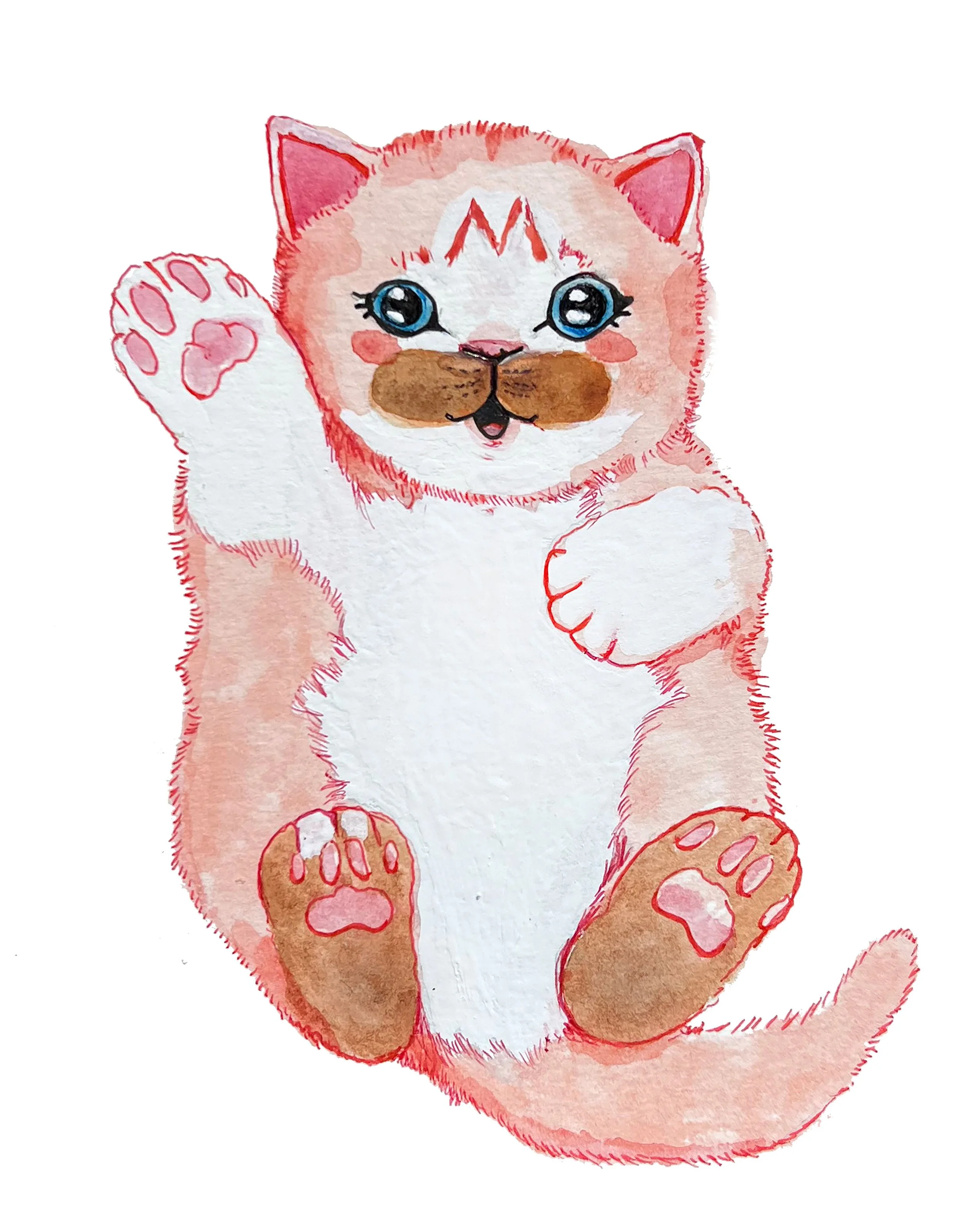 Mario Kitty