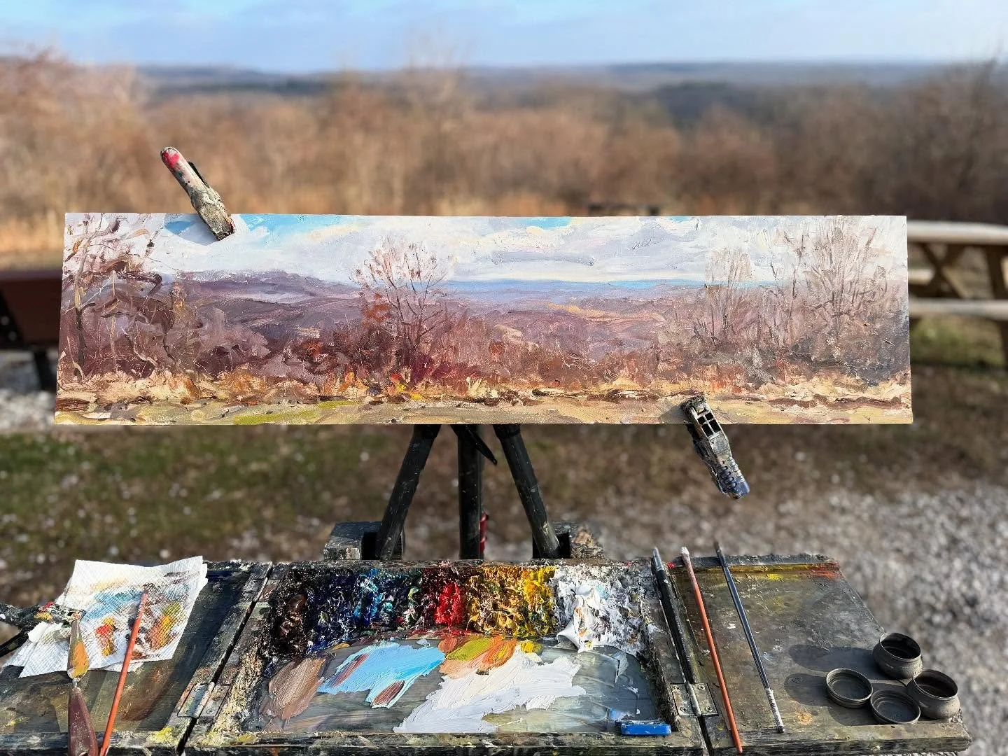 Hohen Point - 9x36&rdquo; oil on gessobord. Thank you @ampersand_art for making me custom sized panels! #browncountystatepark #oilpainting @ilovebrowncounty