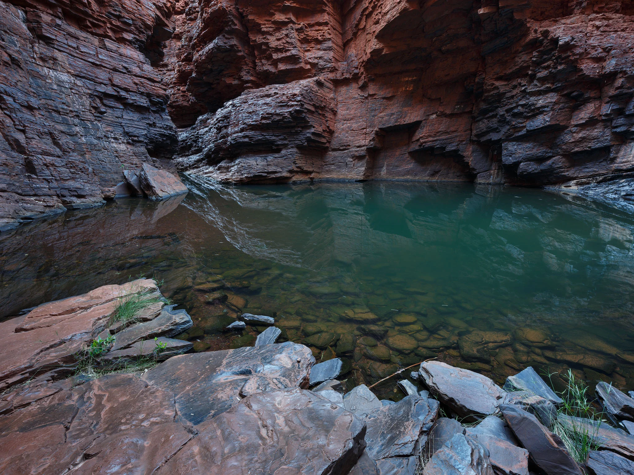 IMG_1711-Edit 2017 .jpg