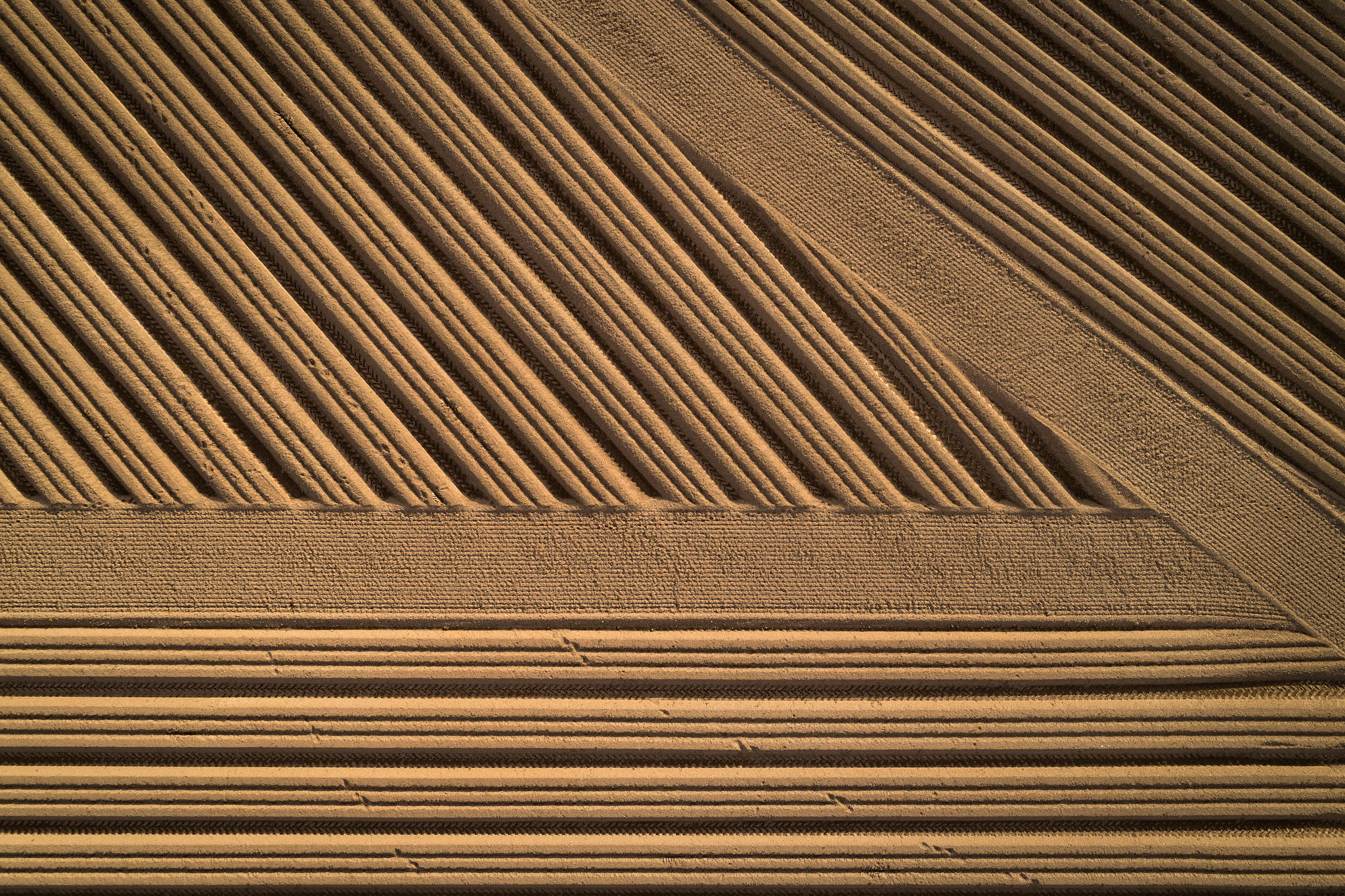 Ploughed Field