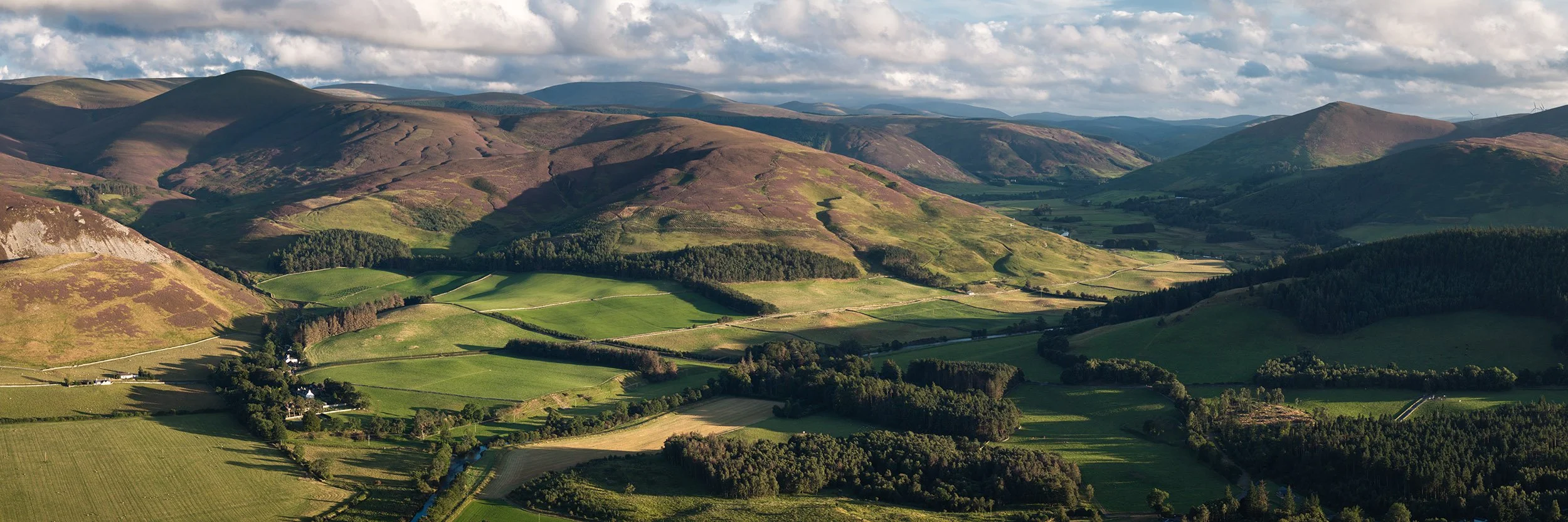 Upper Tweed Valley looking south.