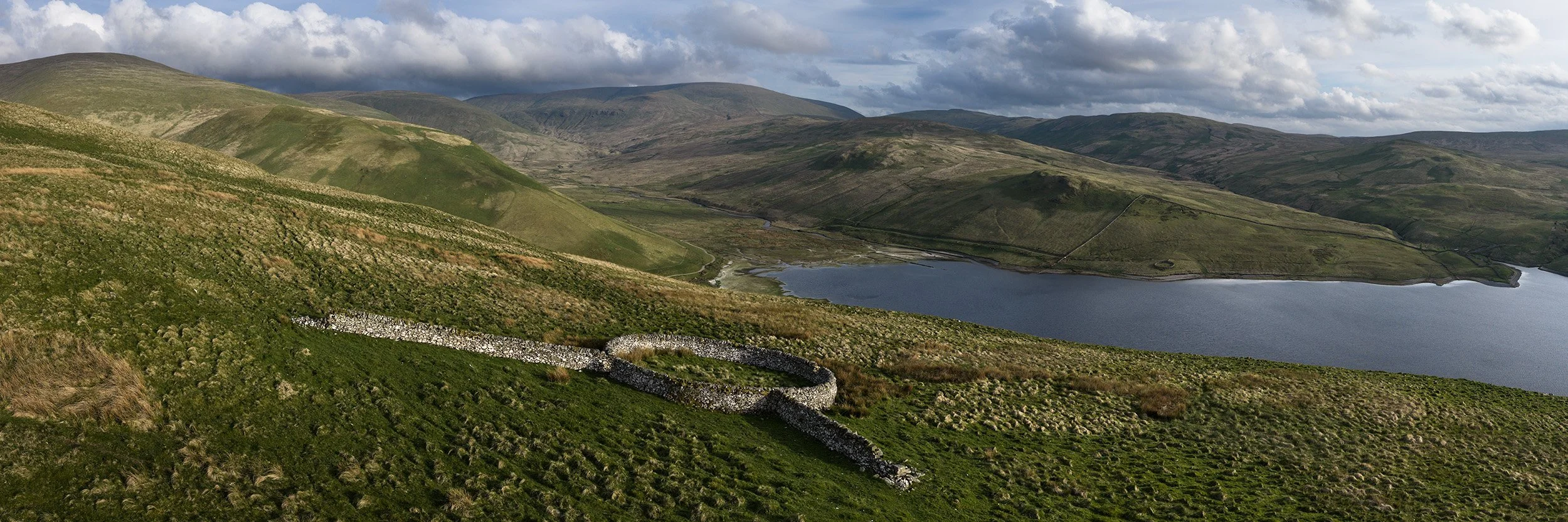  A beautiful sheep stell above Fruid Reservoir, there are eight stells visible in this image. 