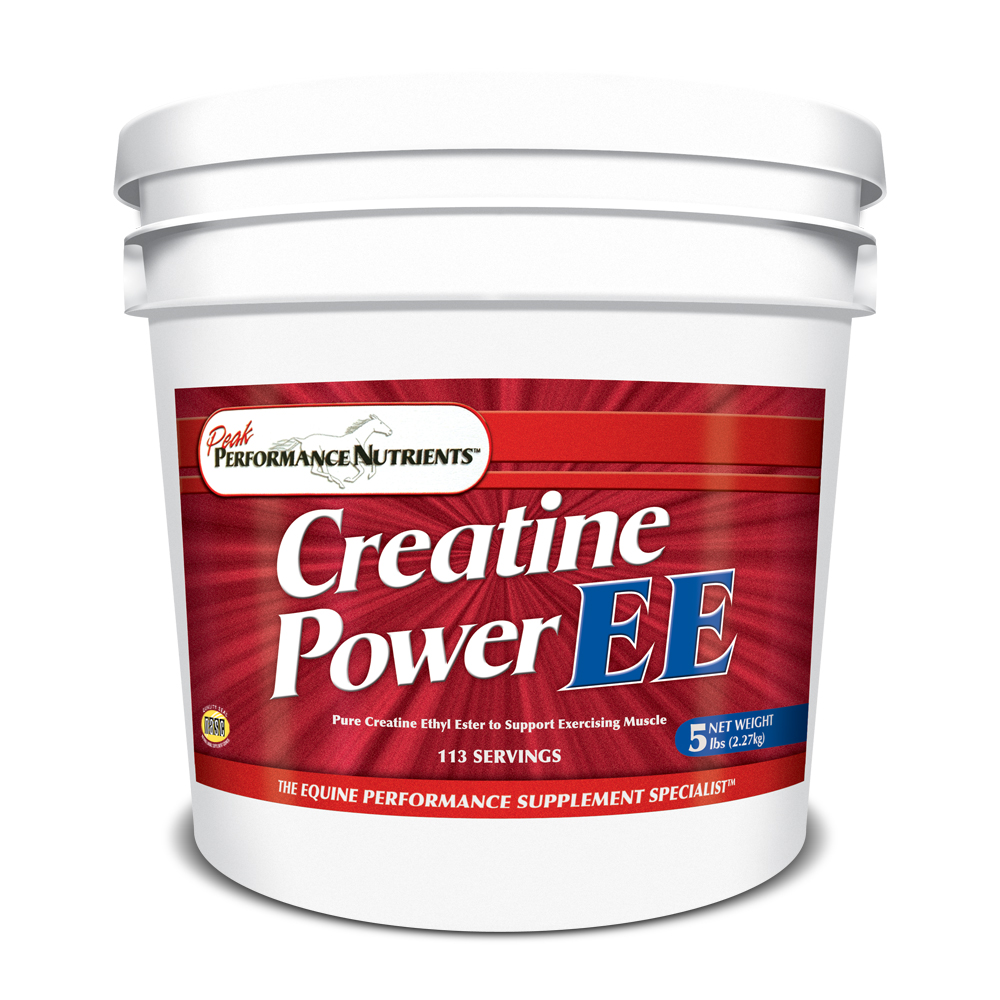 CreatinePowerEE-5lbs---1000x1000.jpg