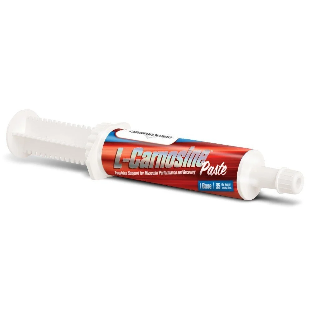 Pure L-Carnosine Powder - Pharmaceutical Grade (1 Jamaica