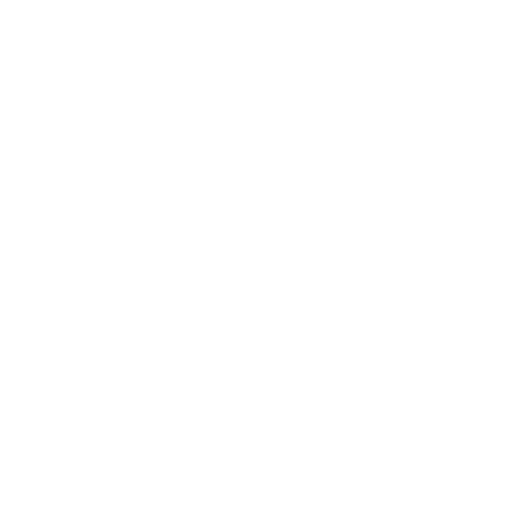 100 Years Legacy.png
