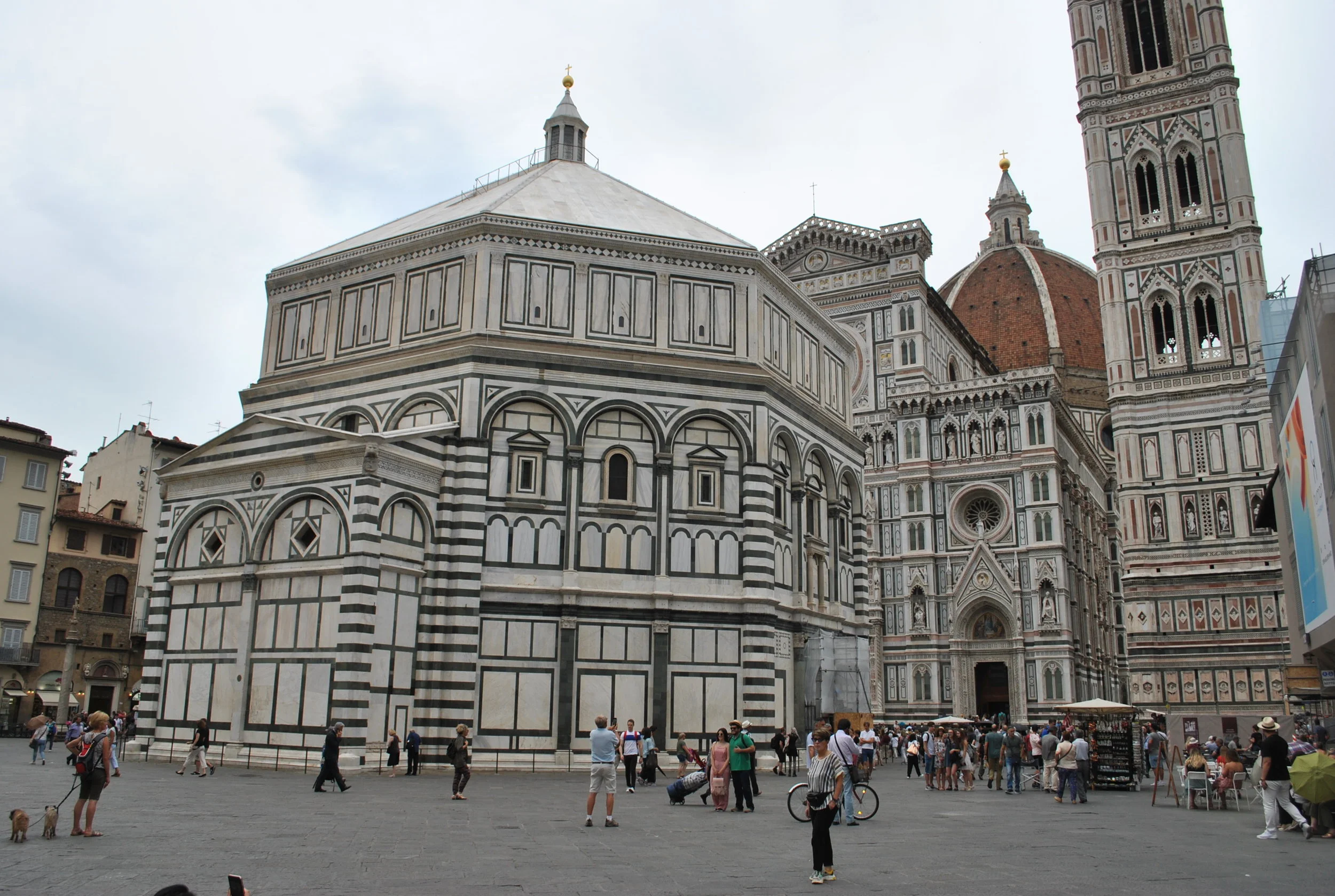 DSC_7872.JPG