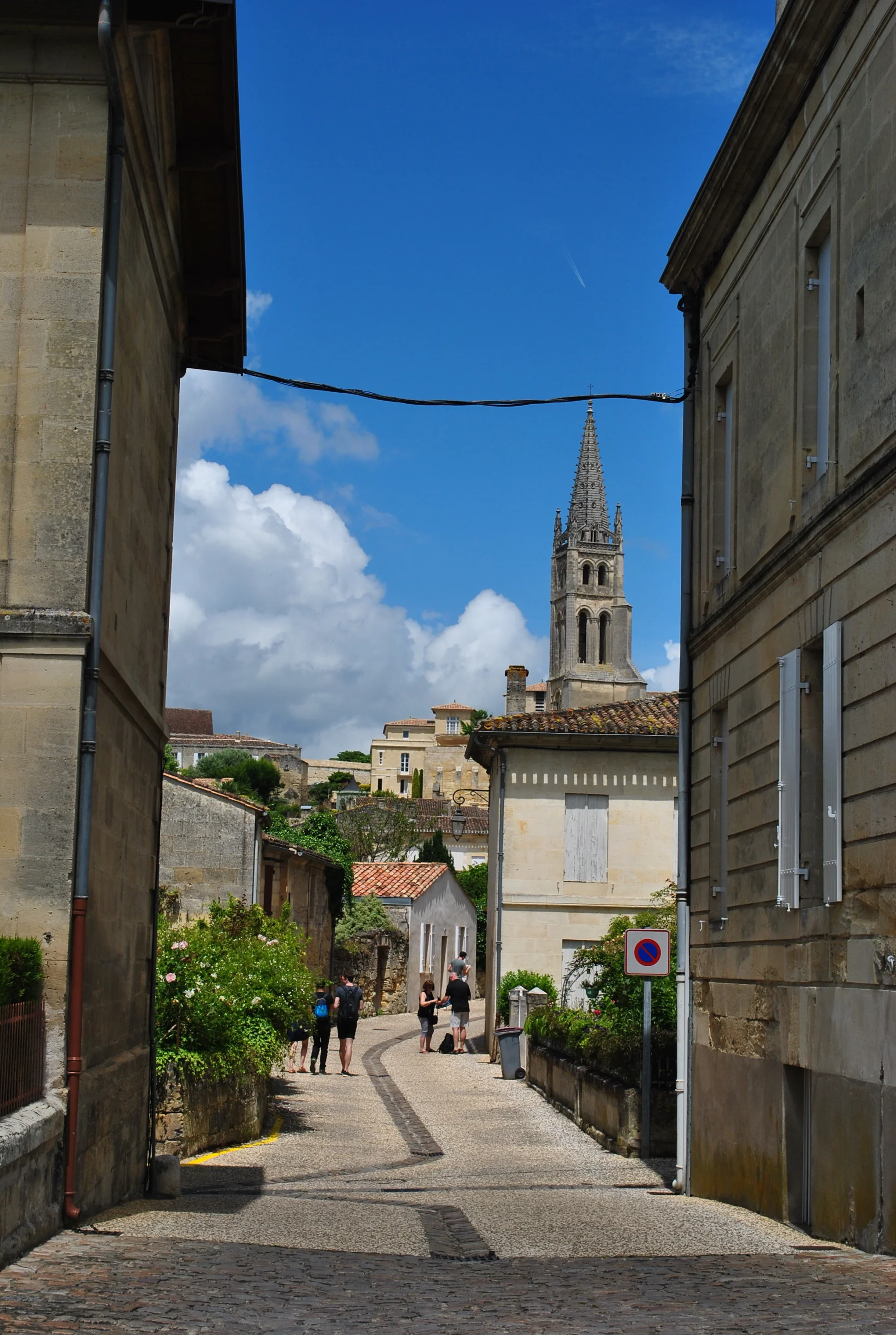 DSC_8517.JPG