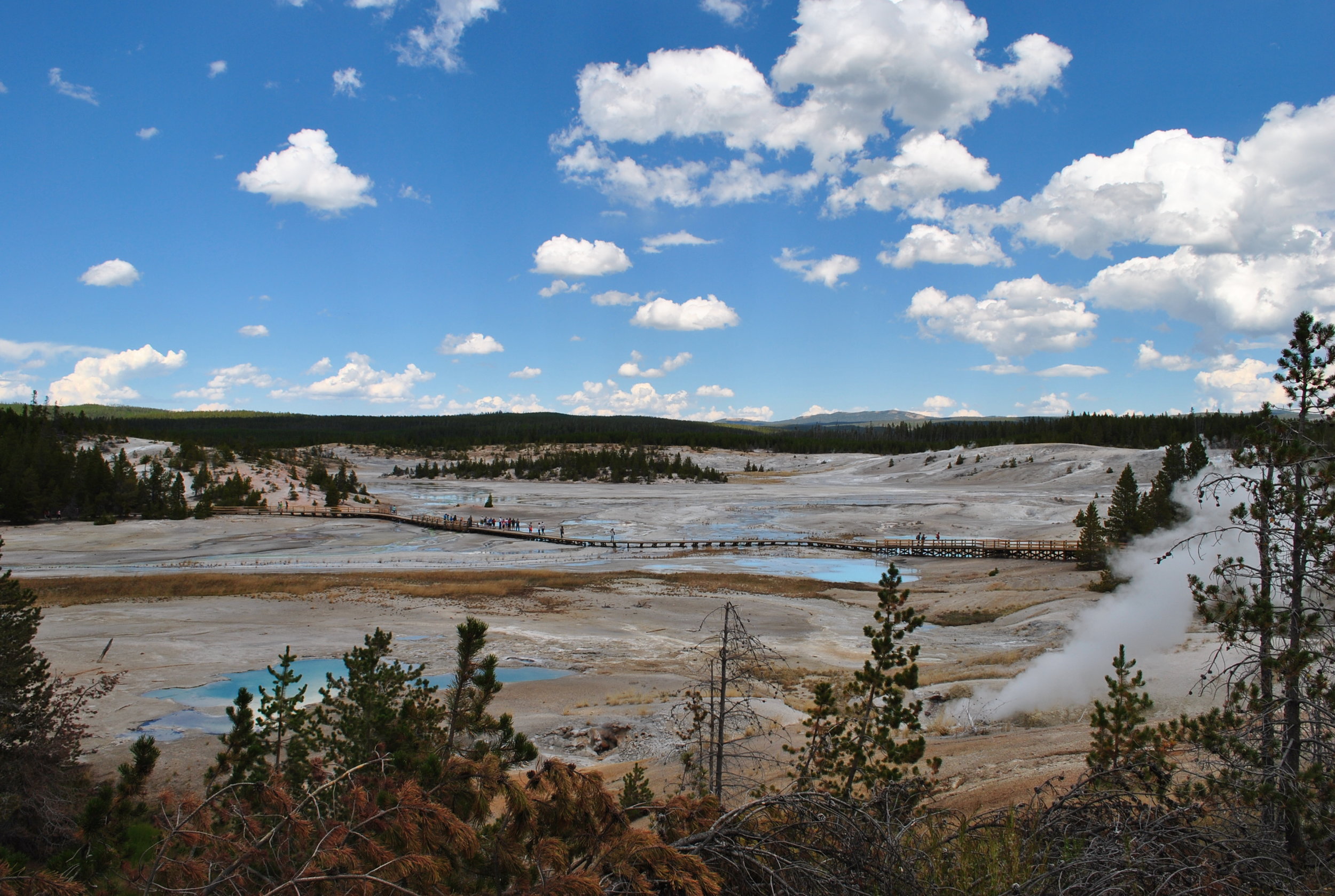 DSC_6511.JPG