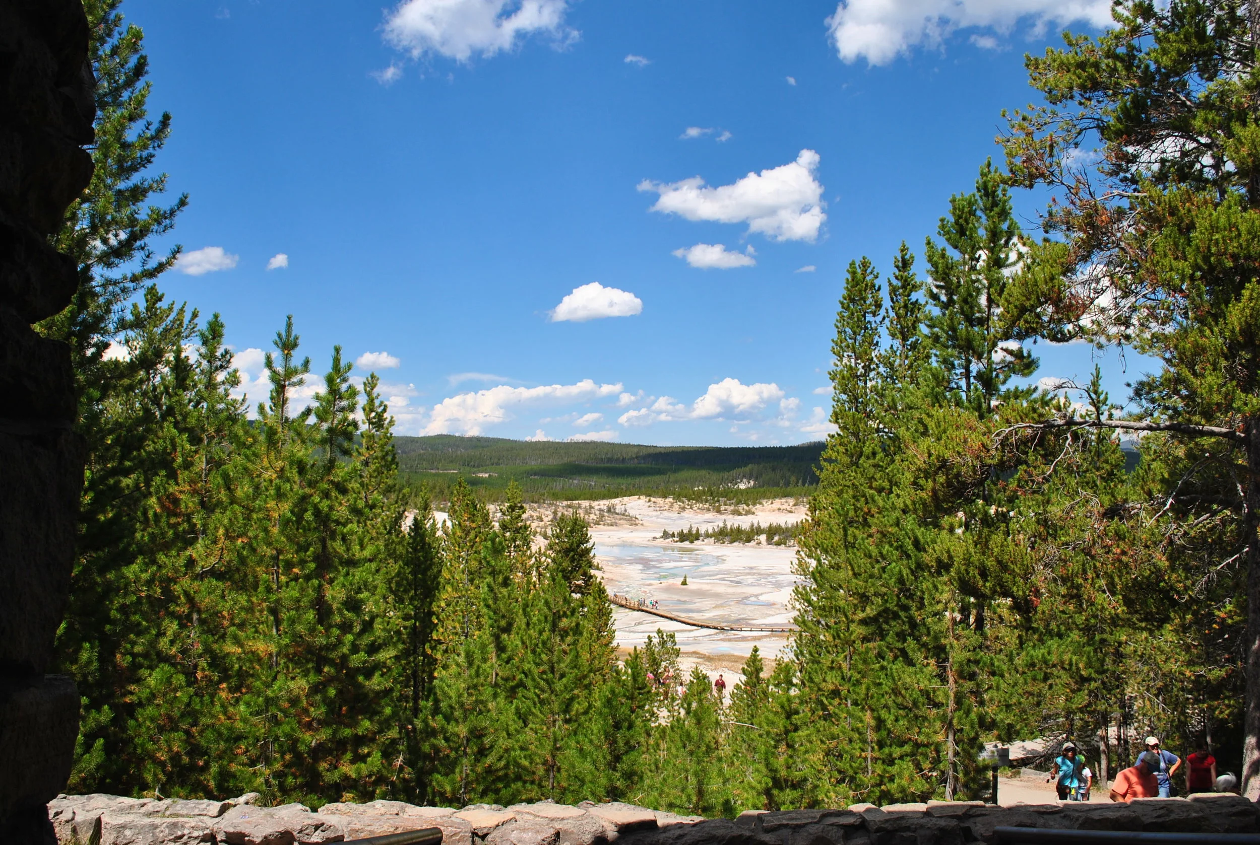 DSC_6513.JPG