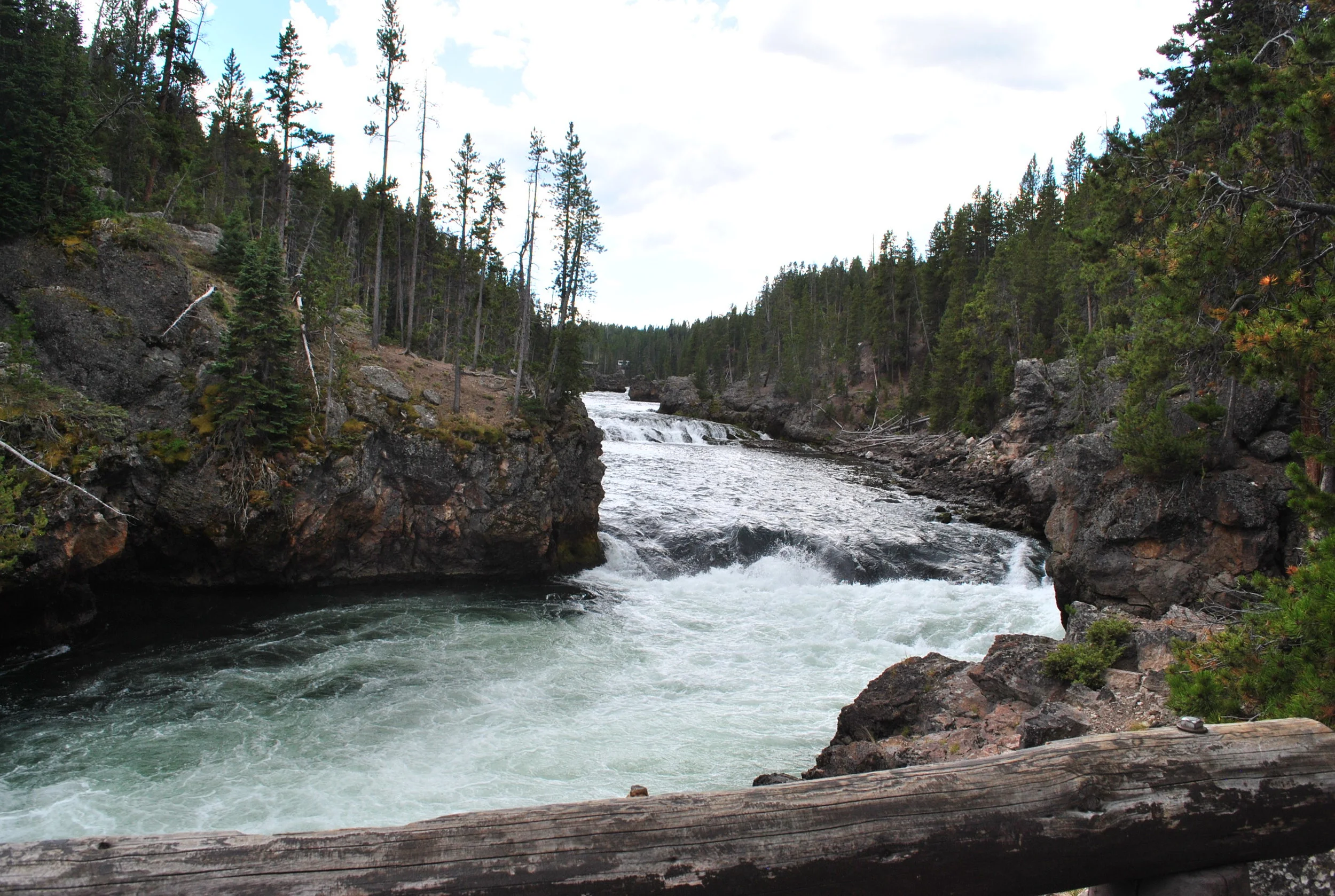 DSC_6528.JPG