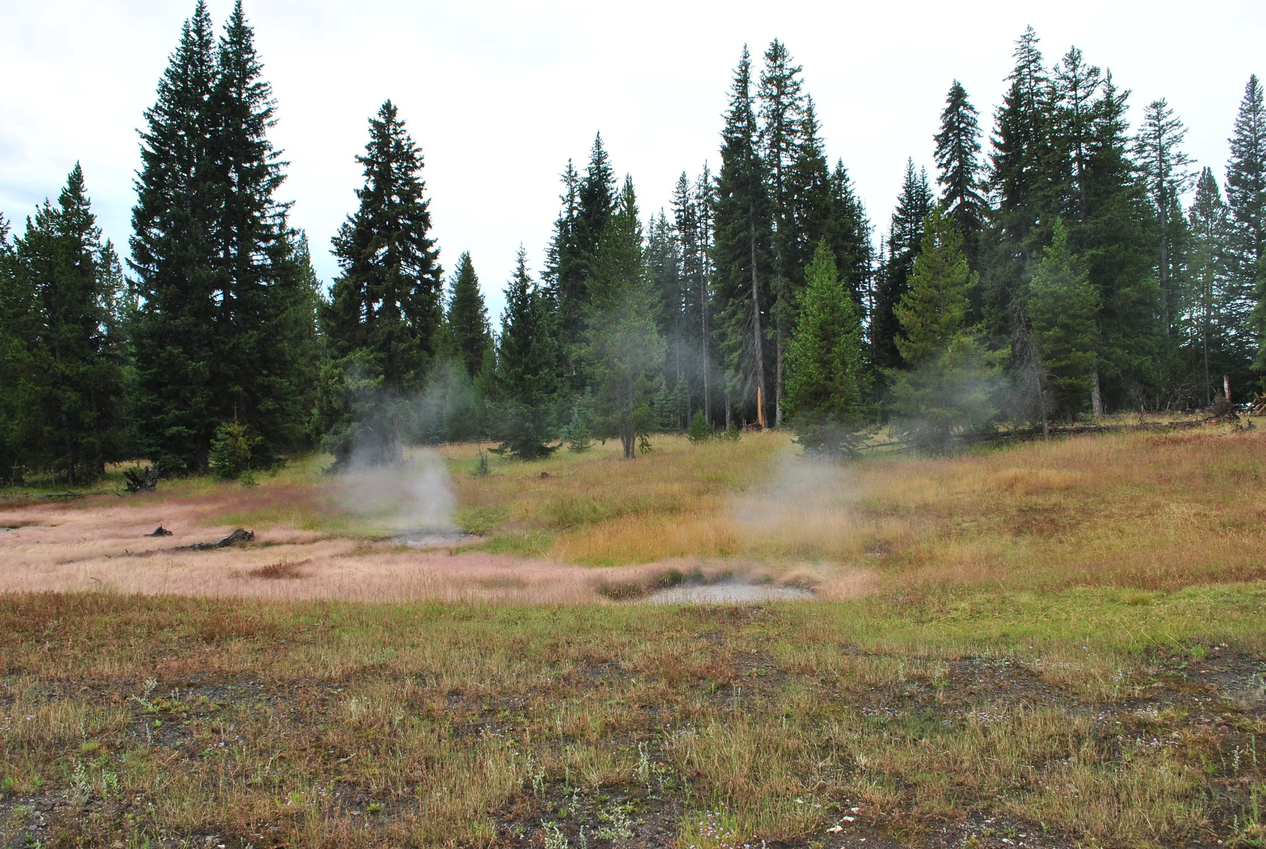 DSC_6551.JPG