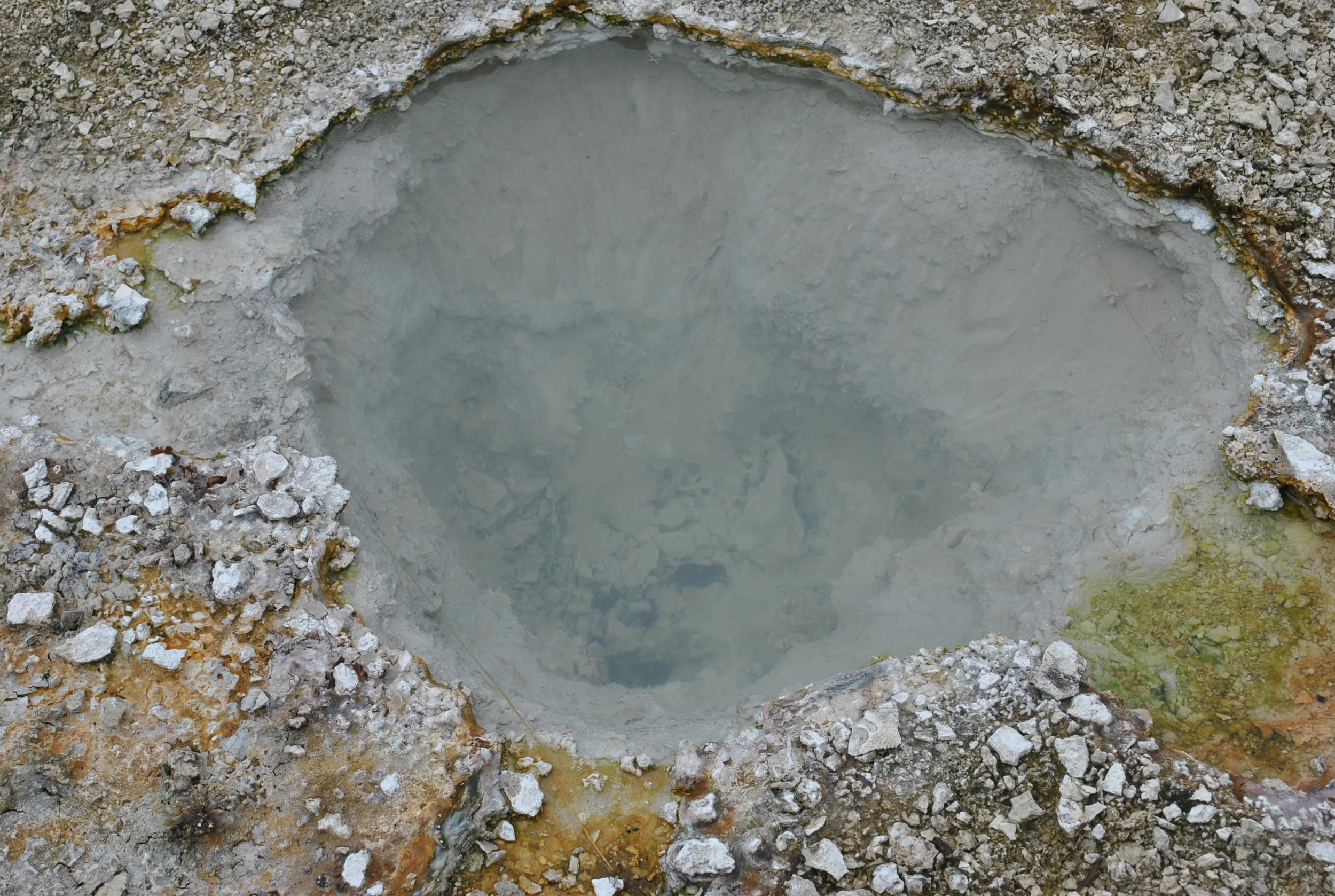 DSC_6560.JPG